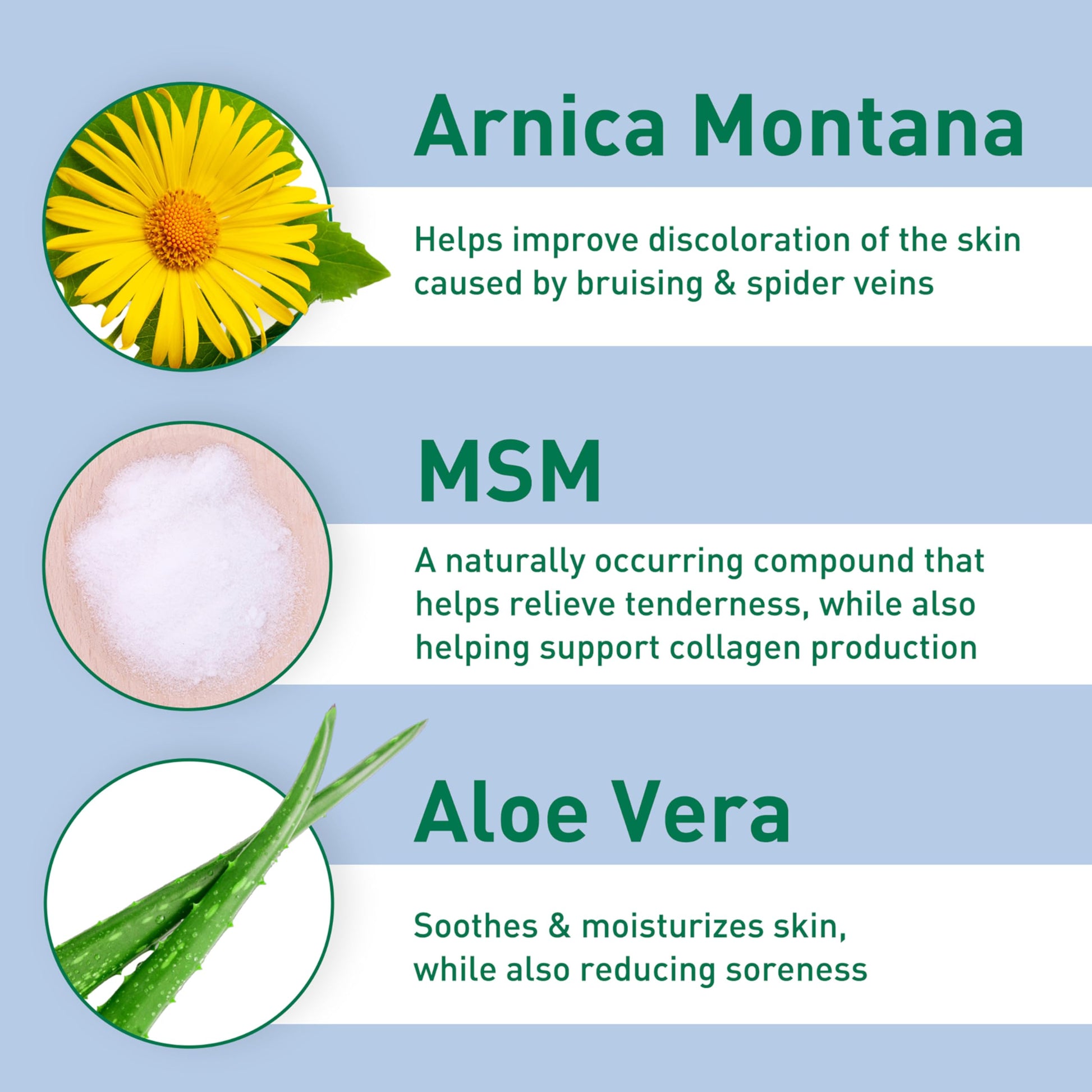 PROcure Arnica & MSM Bruise Remedy Gel – Paraben-Free, Unscented Arnica Montana Gel for Bruising, Spider Veins & Skin Discoloration – 2 Pack PROcure uk supplements