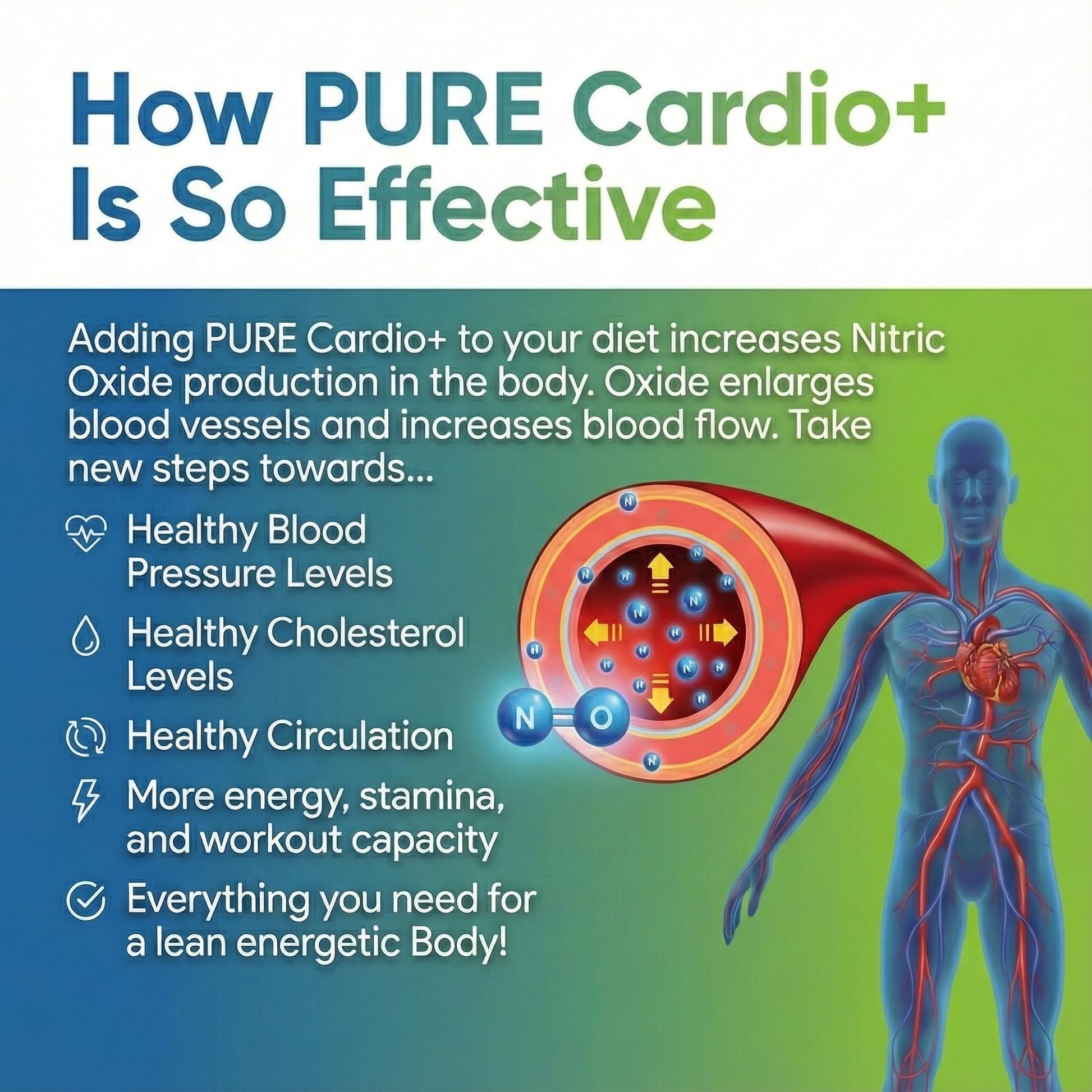 PURE® Cardio+ Nitric Oxide Heart & Circulation Support - 5000mg L-Arginine & 1000mg L-Citrulline - Lemon Lime, 30 Servings Powder, 375 Grams - CoQ10 Beet Root - High Potency Cardiovascular Formula PURE uk supplements