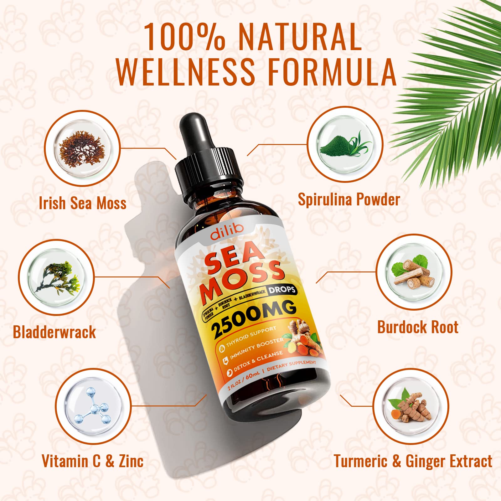 Sea Moss Liquid Drops: Organic Irish Sea Moss 2500mg with Turmeric, Bladderwrack dilib uk supplements