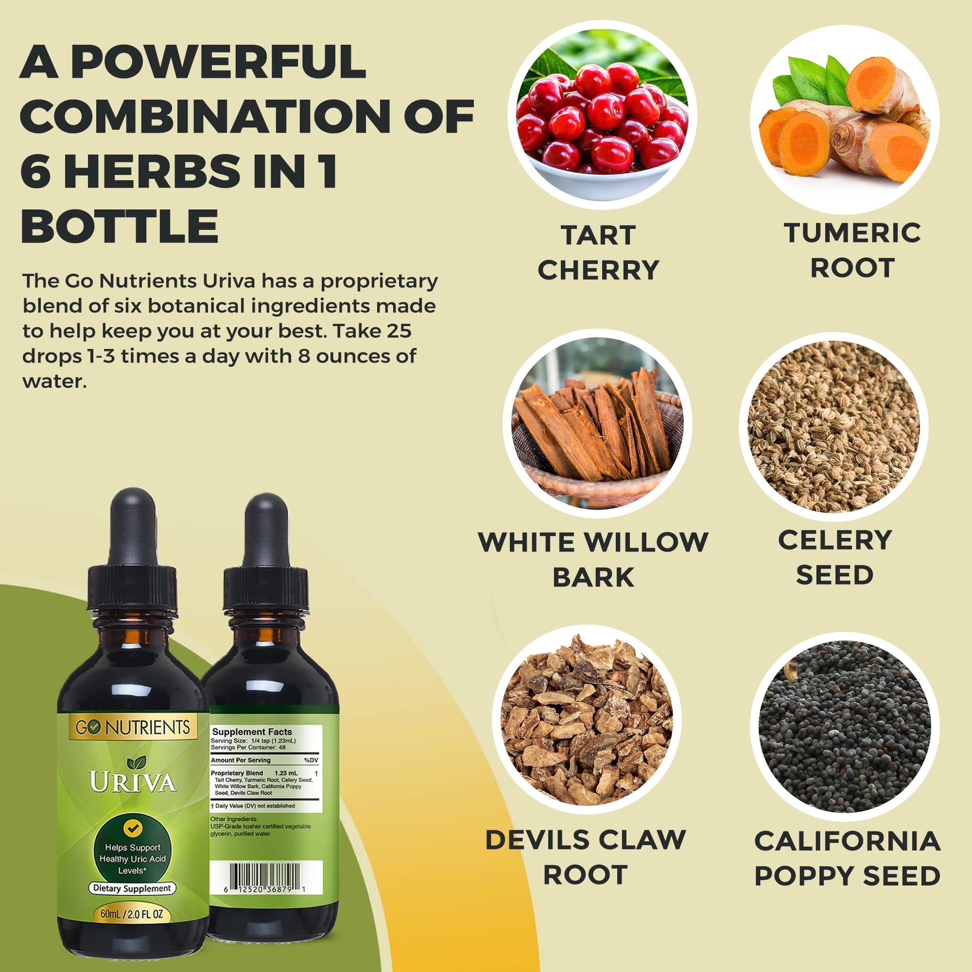 Go Nutrients Uriva Advanced Uric Acid Flush Cleanse with Tart Cherry Extract Celery Seed Extract Turmeric Go Nutrients uk supplements