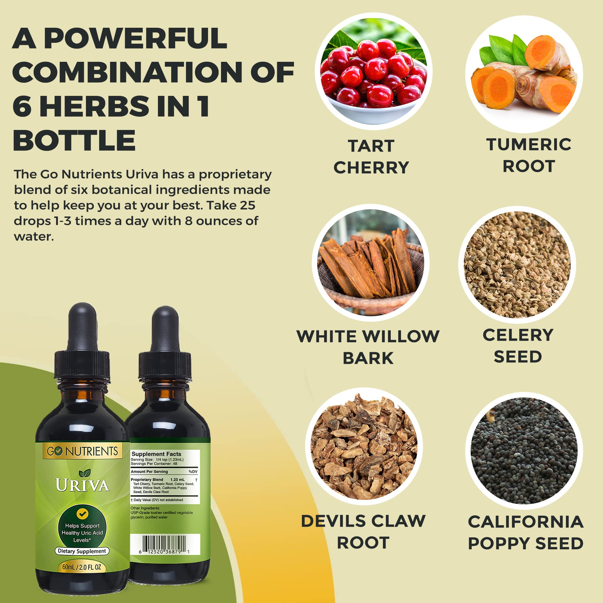 Go Nutrients Uriva Advanced Uric Acid Flush Cleanse with Tart Cherry Extract Celery Seed Extract Turmeric Go Nutrients uk supplements