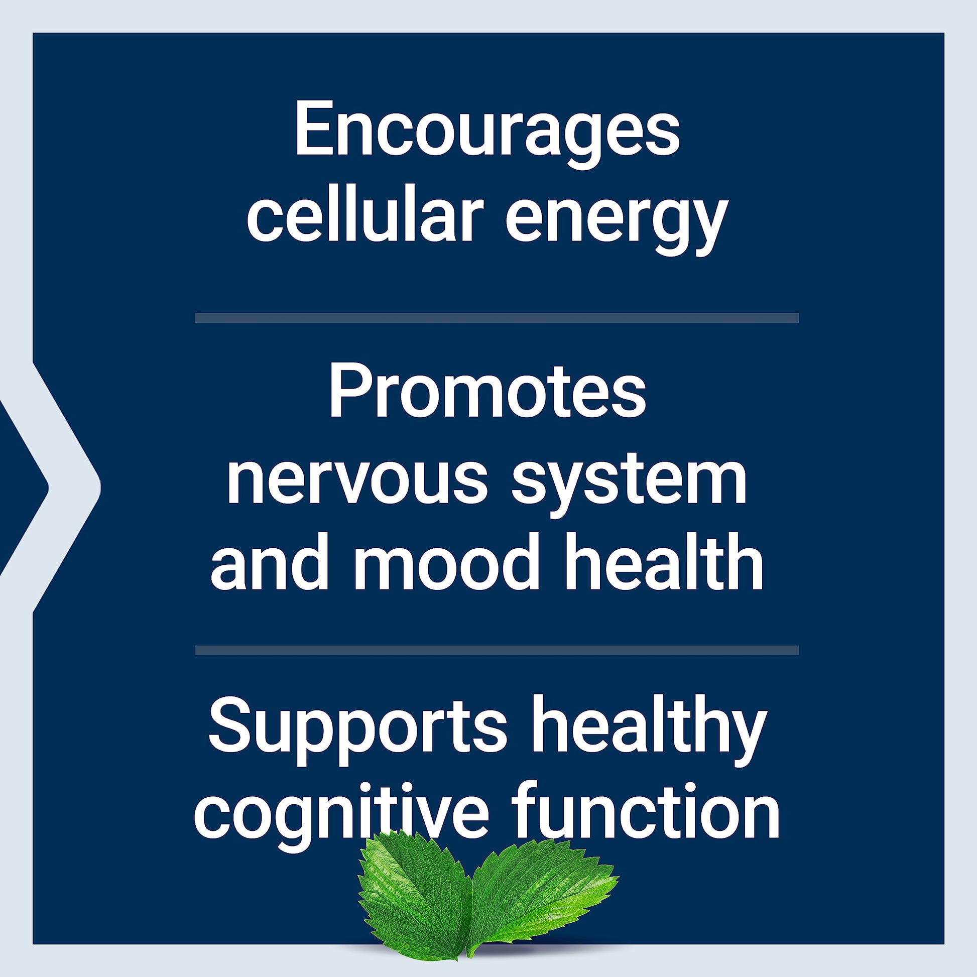 Life Extension Acetyl-L-Carnitine, Acetyl-L-Carnitine, vitamin C, Brain, mood & nerve health Life Extension uk supplements
