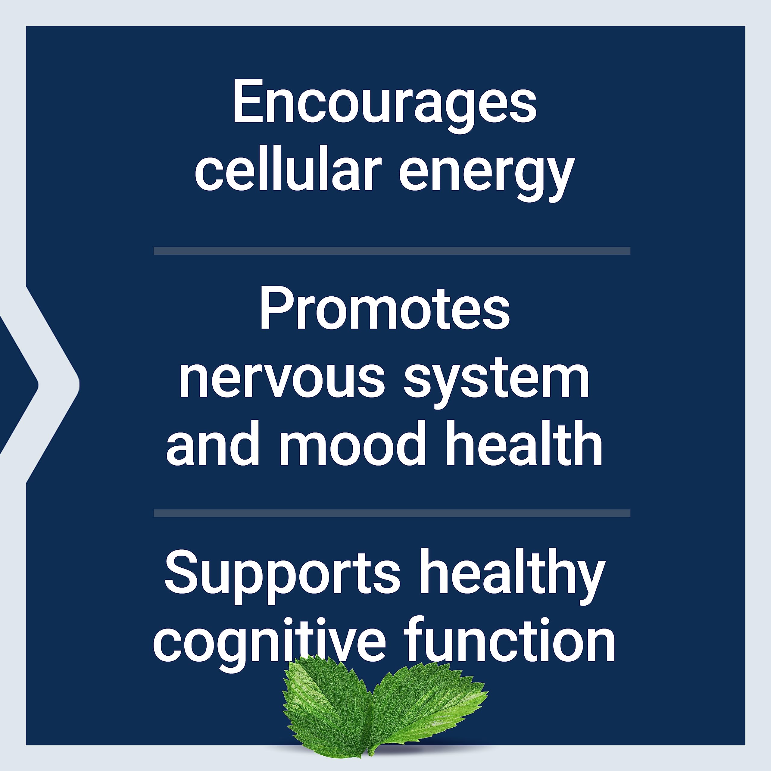 Life Extension Acetyl-L-Carnitine, Acetyl-L-Carnitine, vitamin C, Brain, mood & nerve health Life Extension uk supplements