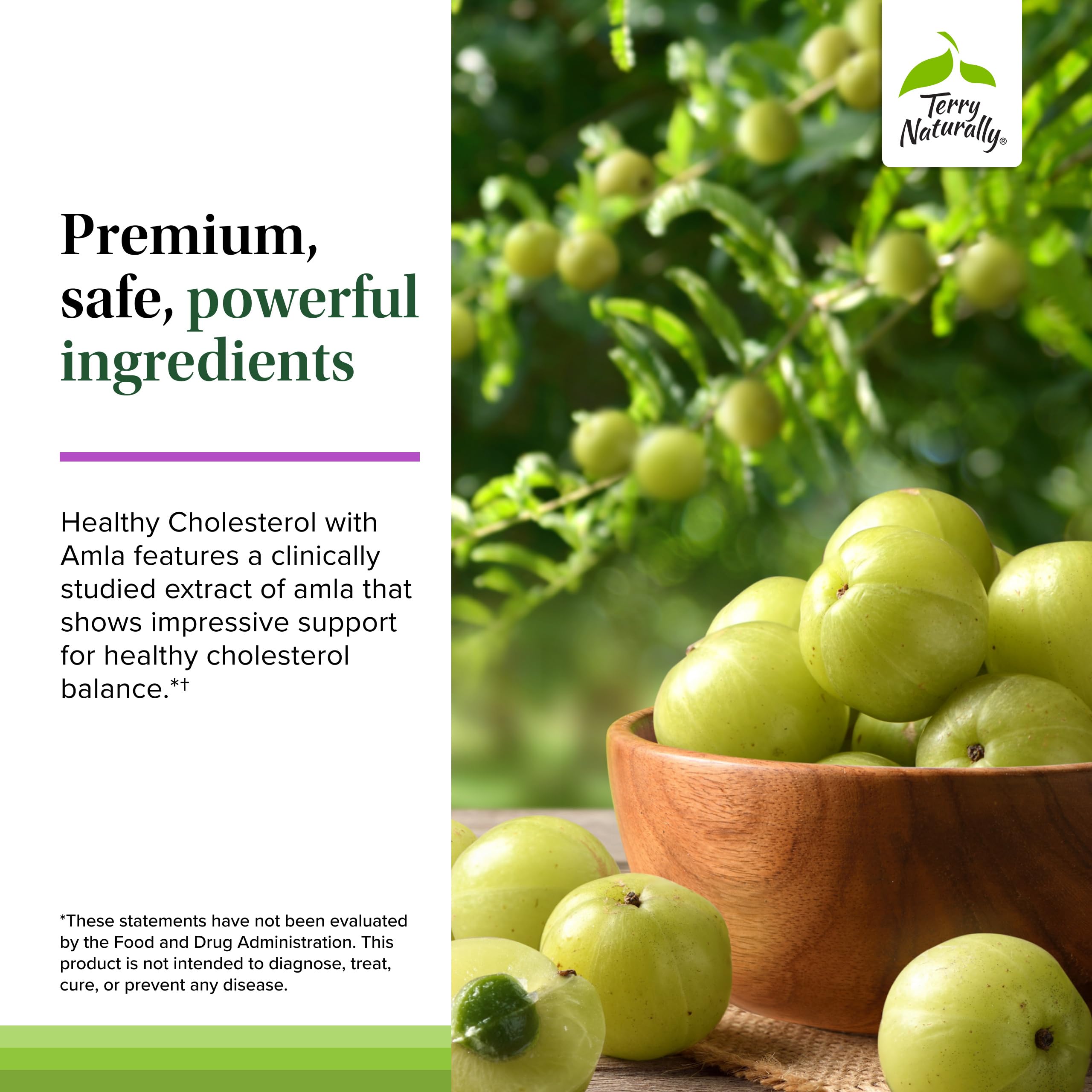 Terry Naturally Healthy Cholesterol with Amla - Antioxidant Supplement for Immune & Heart Support - Supplement to Aid Healthy Cholesterol & Triglyceride - 60 Capsules Terry Naturally uk supplements