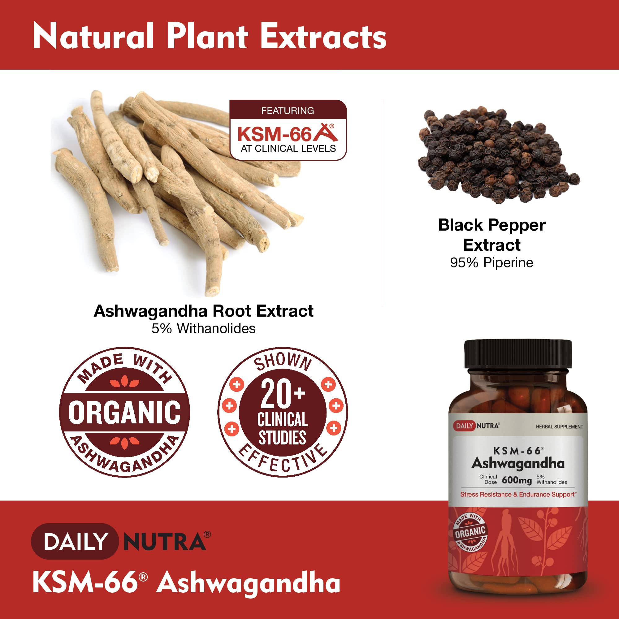 DailyNutra KSM-66 Ashwagandha 600mg Organic Root Extract - High Potency Supplement DailyNutra uk supplements