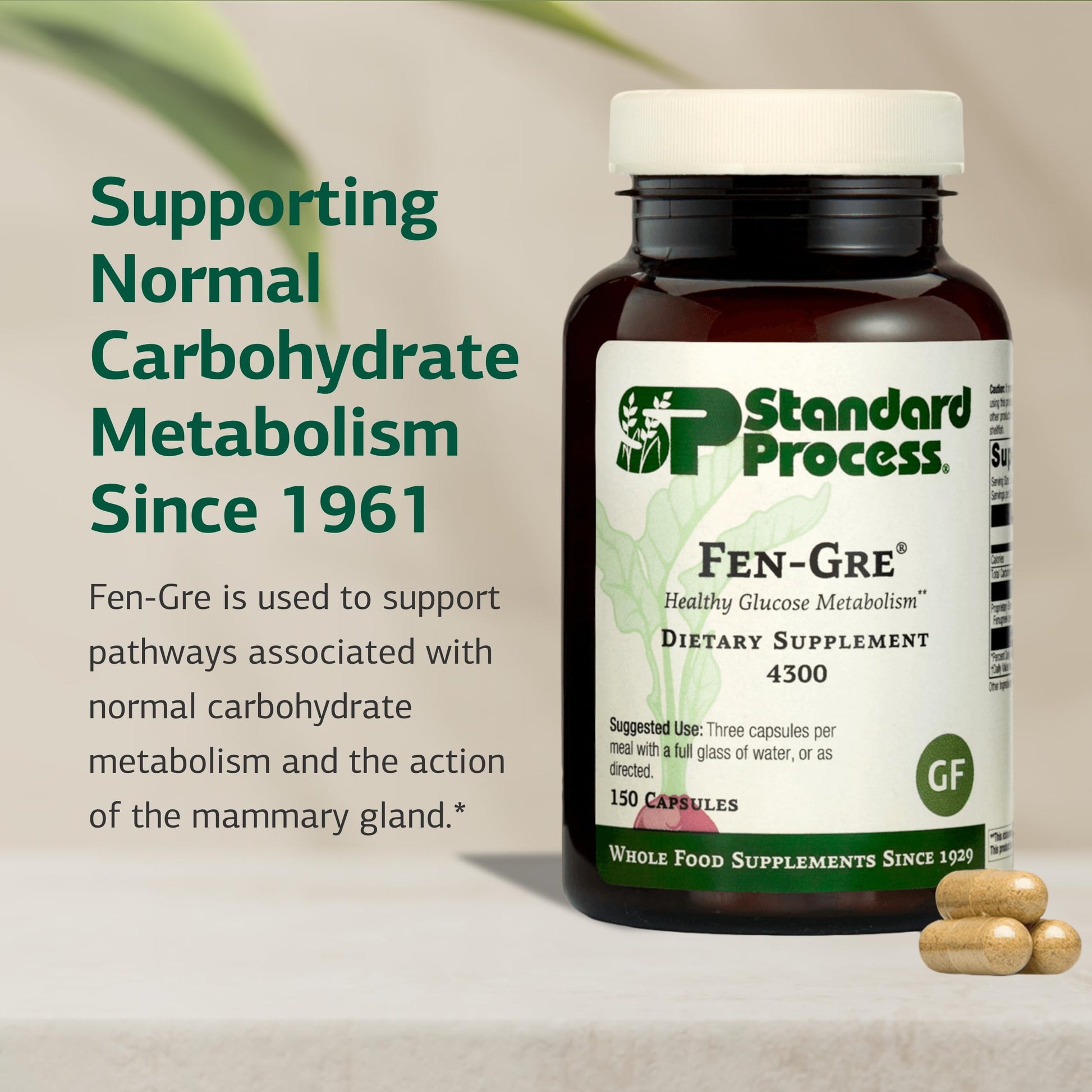 Standard Process Fen-Gre - Supports Respiratory Support & Healthy Metabolism - Aids Healthy Levels of Mucus & Phlegm - Supports Lung Health & Bronchial Tubes - Gluten-Free & Non-Dairy - 150 Capsules Standard Process Inc. uk supplements