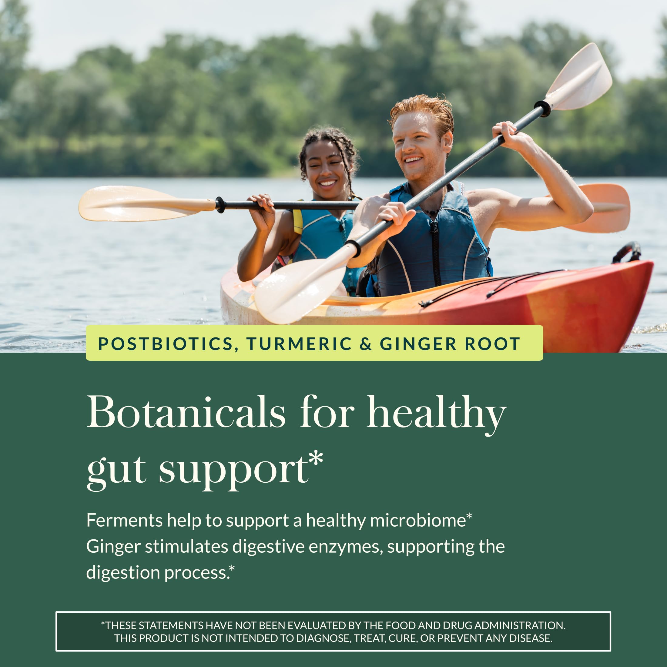 Gaia Herbs Ginger-Turmeric Postbiotic - Healthy Gut Support* - 60 Vegan Liquid Phyto-Caps (30 Servings) Gaia Herbs uk supplements