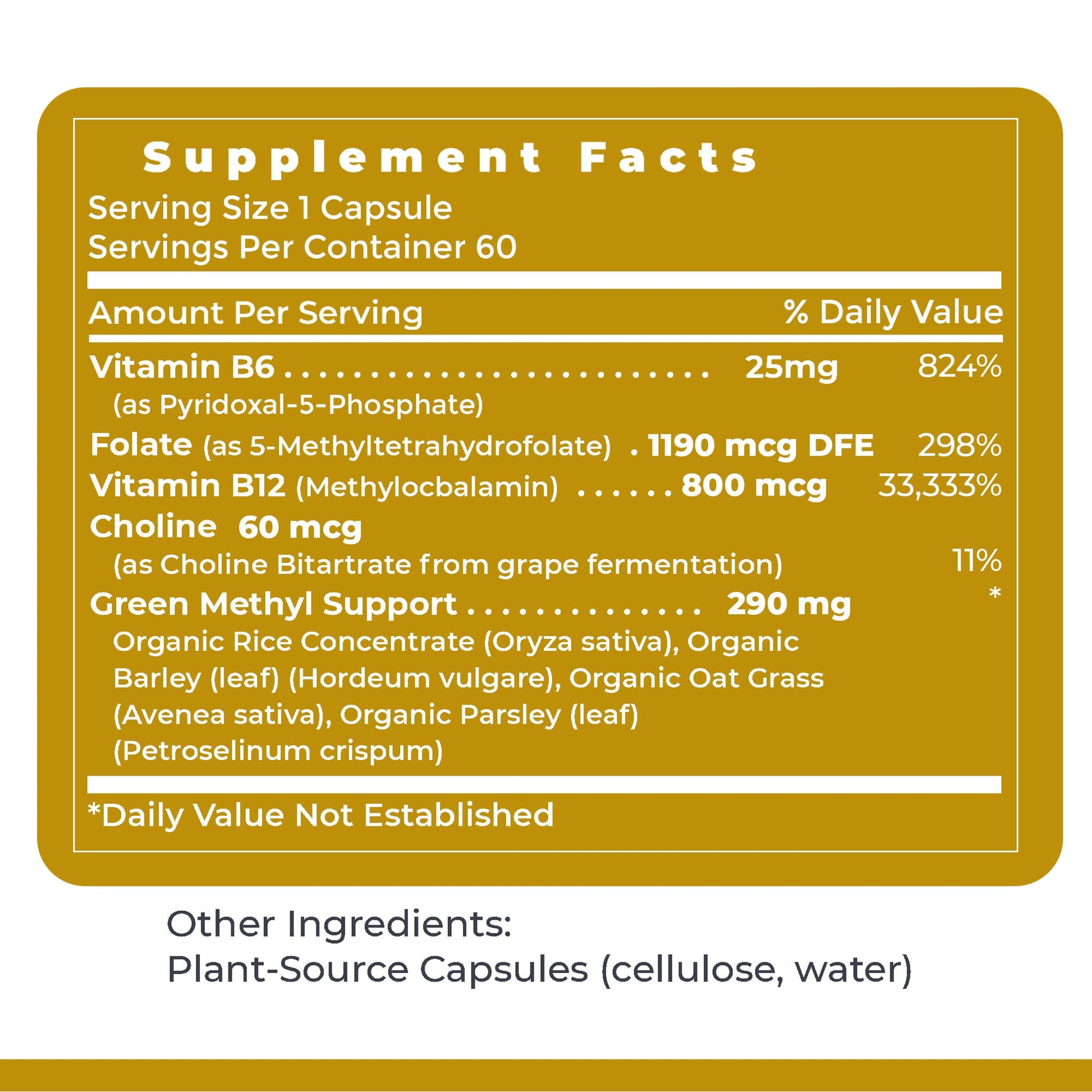 Premier Research Labs Phyto Methylate - B Vitamin Supplement - Supports Methylation, Detox, Brain & Heart Health - 5-MTHF & P5P - 60 Plant-Source Capsules Premier Research Labs uk supplements