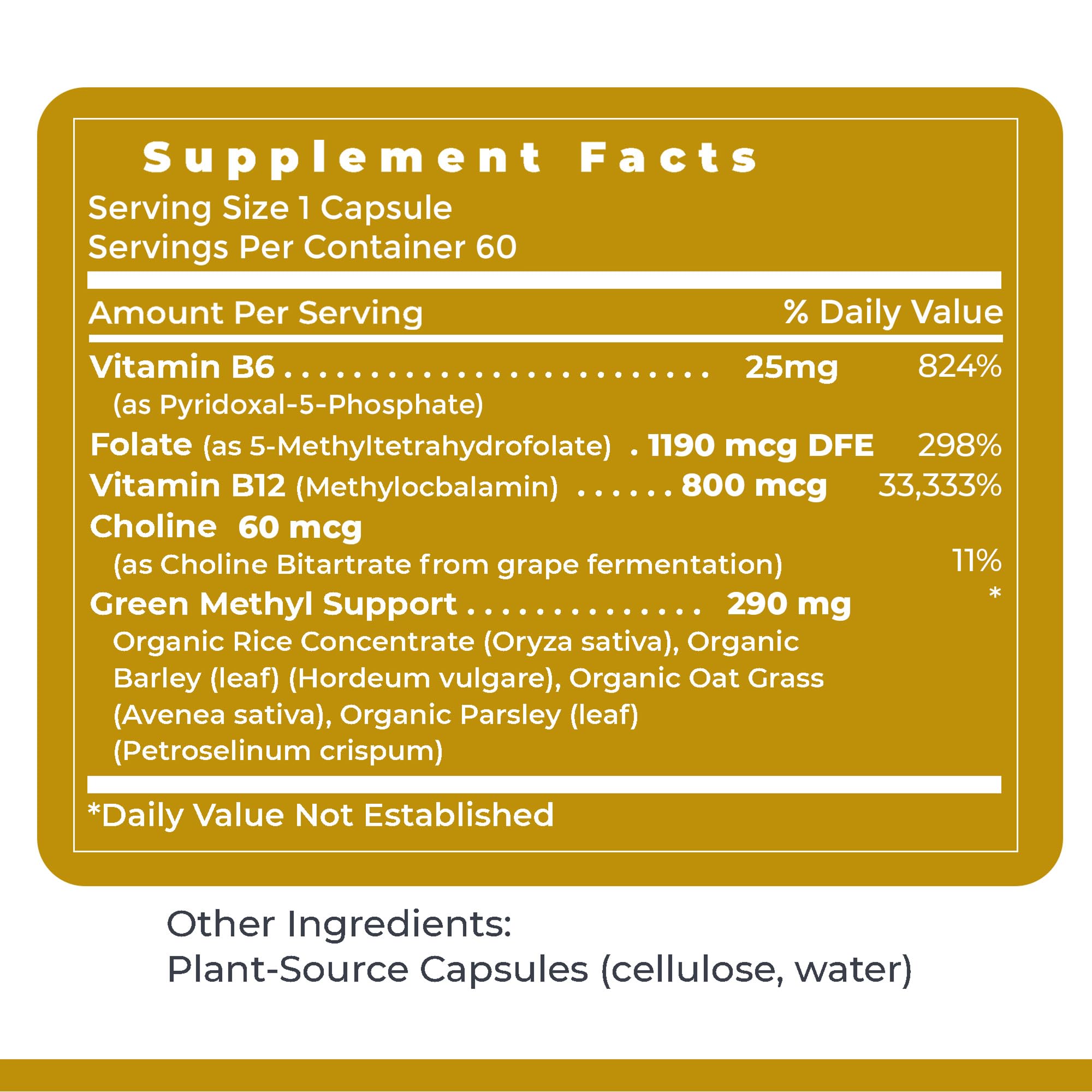 Premier Research Labs Phyto Methylate - B Vitamin Supplement - Supports Methylation, Detox, Brain & Heart Health - 5-MTHF & P5P - 60 Plant-Source Capsules Premier Research Labs uk supplements