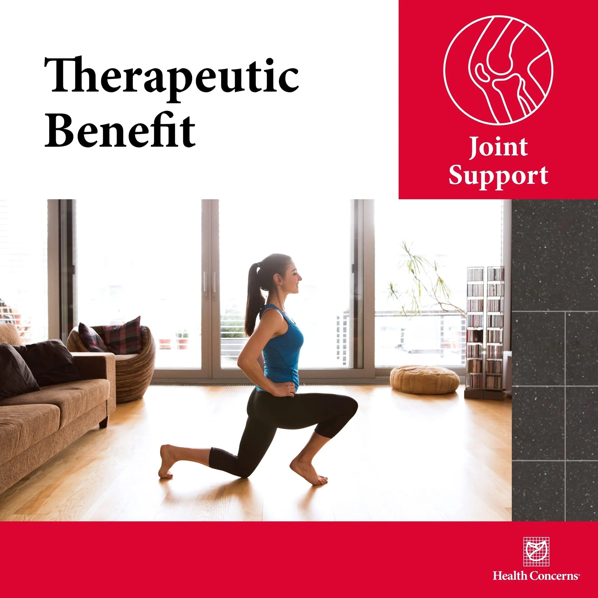 Health Concerns Mobility 2 – Joint Health Support Supplement for Men & Women – Chinese Herbal Circulation Support – Natural Joint & Muscle Aid – Herbal Extracts – 90 Capsules Health Concerns uk supplements