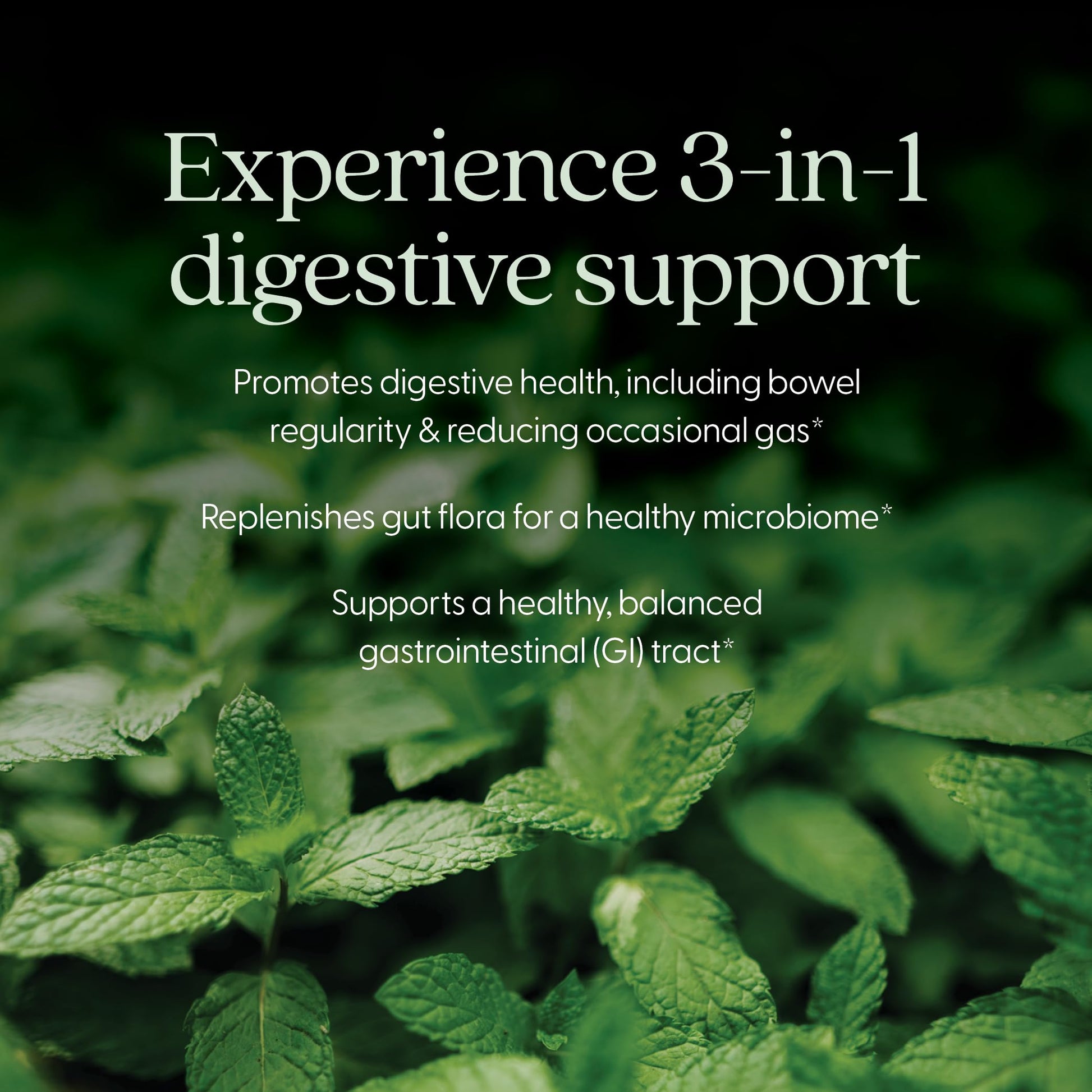 New Chapter All-Flora Probiotic for Advanced Digestion & Complete Gut Health with Prebiotics + Postbiotics, Clinical-Strength Strains, 100% Vegetarian, Non-GMO, Shelf Stable - 60 ct (2 Month Supply) New Chapter uk supplements