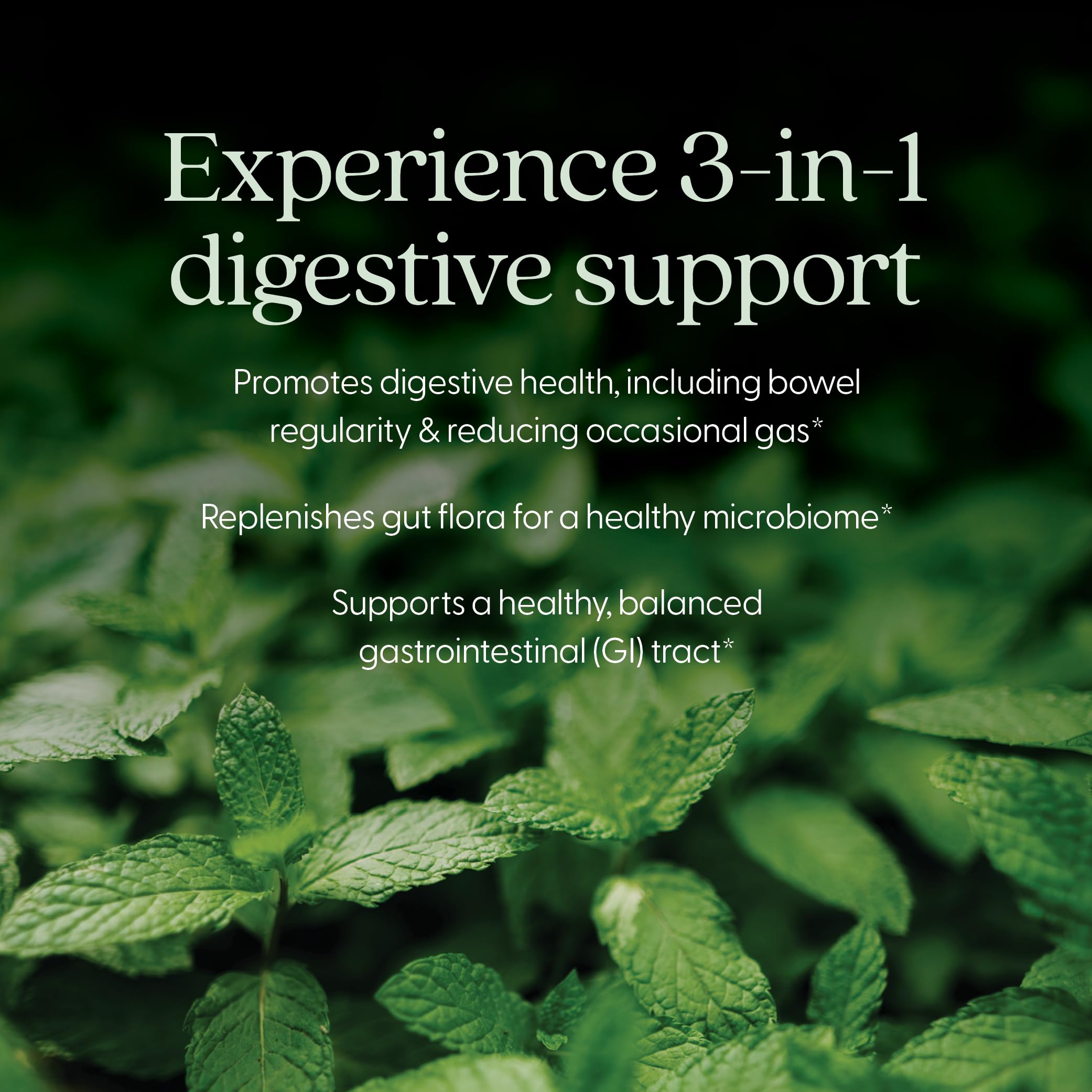 New Chapter All-Flora Probiotic for Advanced Digestion & Complete Gut Health with Prebiotics + Postbiotics, Clinical-Strength Strains, 100% Vegetarian, Non-GMO, Shelf Stable - 60 ct (2 Month Supply) New Chapter uk supplements