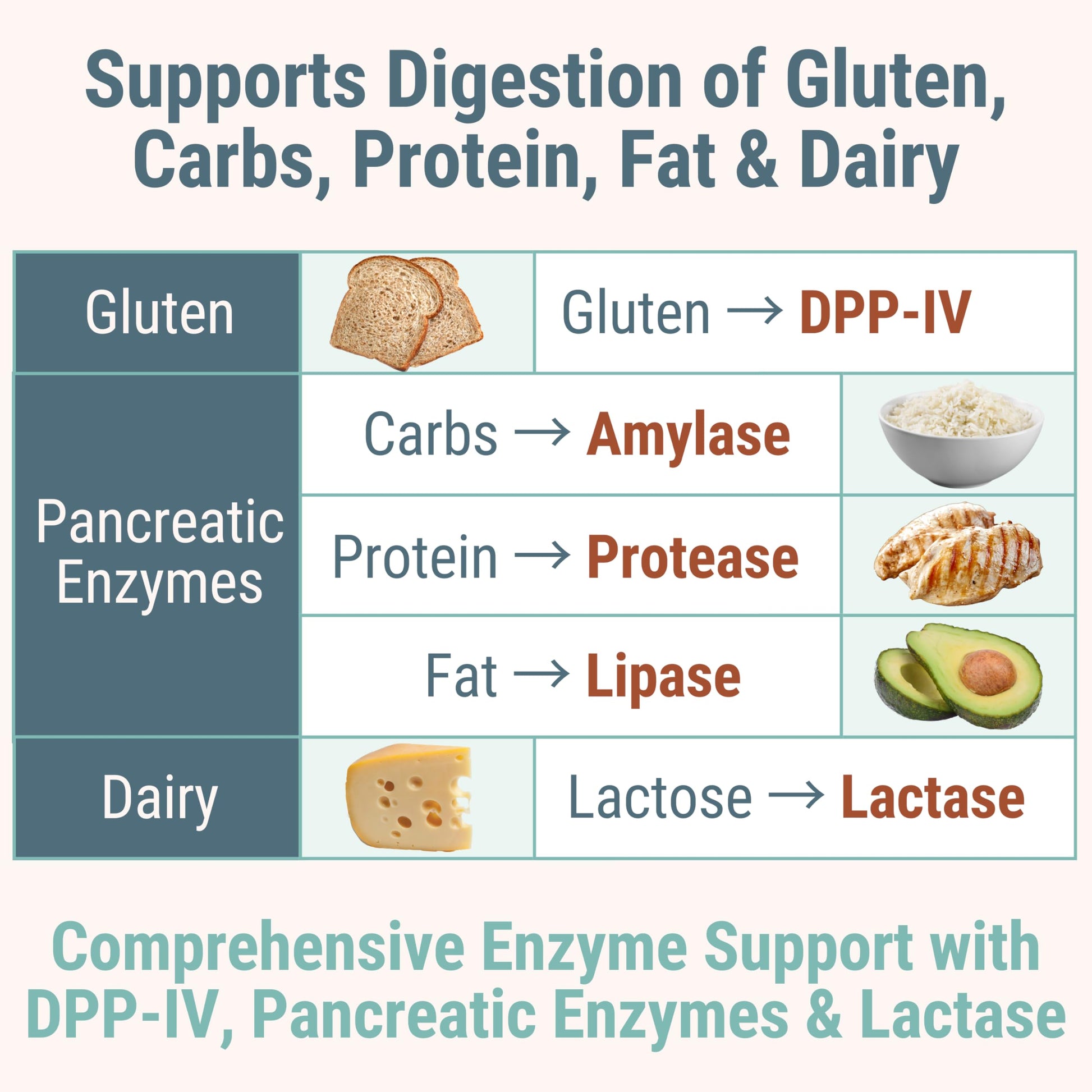 Gluten & Lactase Digestive Enzyme Gummies – Lactase Pancreatic Enzymes with DPP‑IV Lipase Gluco‑Amylase Lactase, Drops Chewables Capsules Pills Powder Supplement Alt, Pancreatic Support, for Kids SHIZAM uk supplements