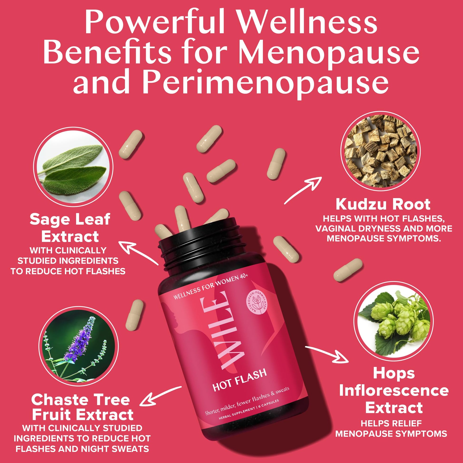 WILE Menopause and Perimenopause Supplements for Women - Hot Flashes and Night Sweats Relief with Kudzu Root - Premenopause Support for Stress, Hot Flash, Hormone Balance & Restful Sleep, 30 Servings WILE uk supplements