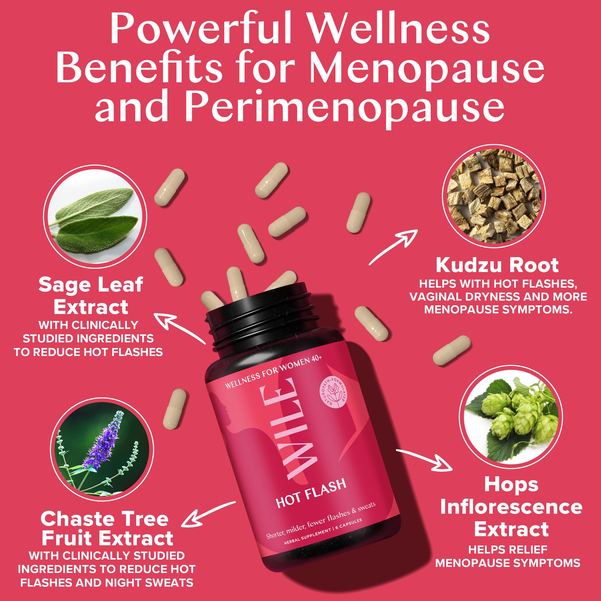 WILE Menopause and Perimenopause Supplements for Women - Hot Flashes and Night Sweats Relief with Kudzu Root - Premenopause Support for Stress, Hot Flash, Hormone Balance & Restful Sleep, 30 Servings WILE uk supplements