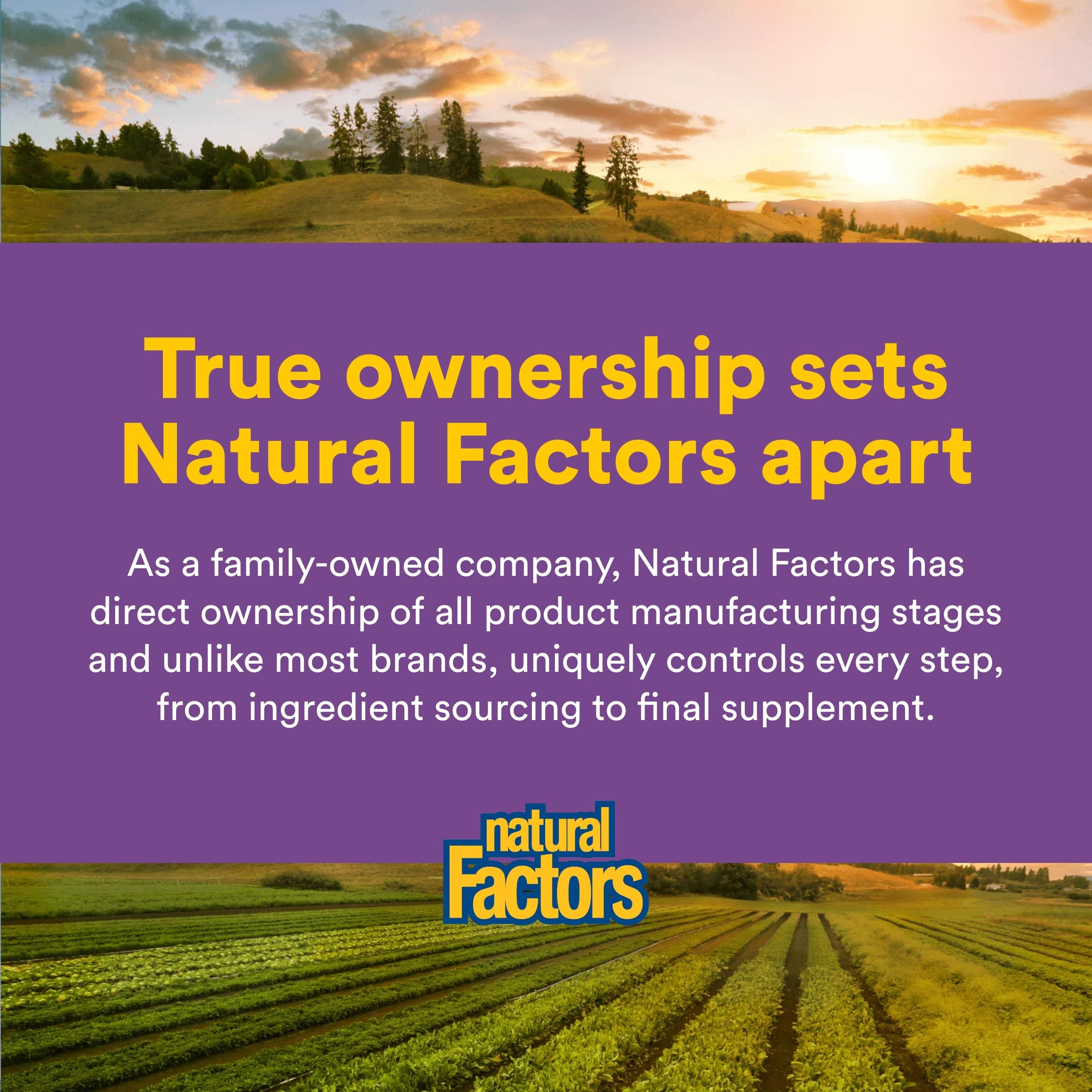 Natural Factors Pharma GABA - Dietary Supplement Supports Calm Sleep & Sleep Quality - Natural, Fast-Working Supplement Aids Focus & Brain Health - 60 Chewable Tablets (60 Servings) Natural Factors uk supplements