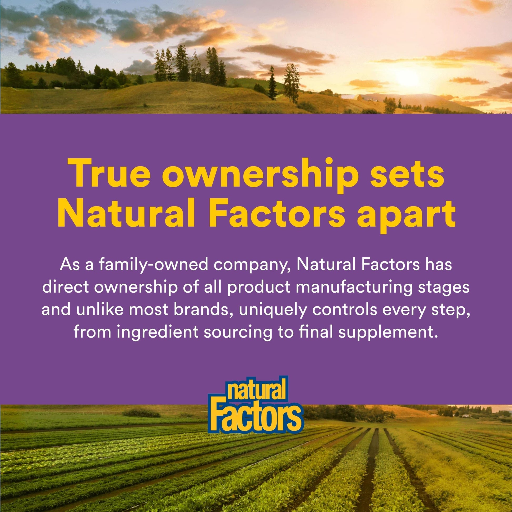 Natural Factors Pharma GABA - Dietary Supplement Supports Calm Sleep & Sleep Quality - Natural, Fast-Working Supplement Aids Focus & Brain Health - 60 Chewable Tablets (60 Servings) Natural Factors uk supplements