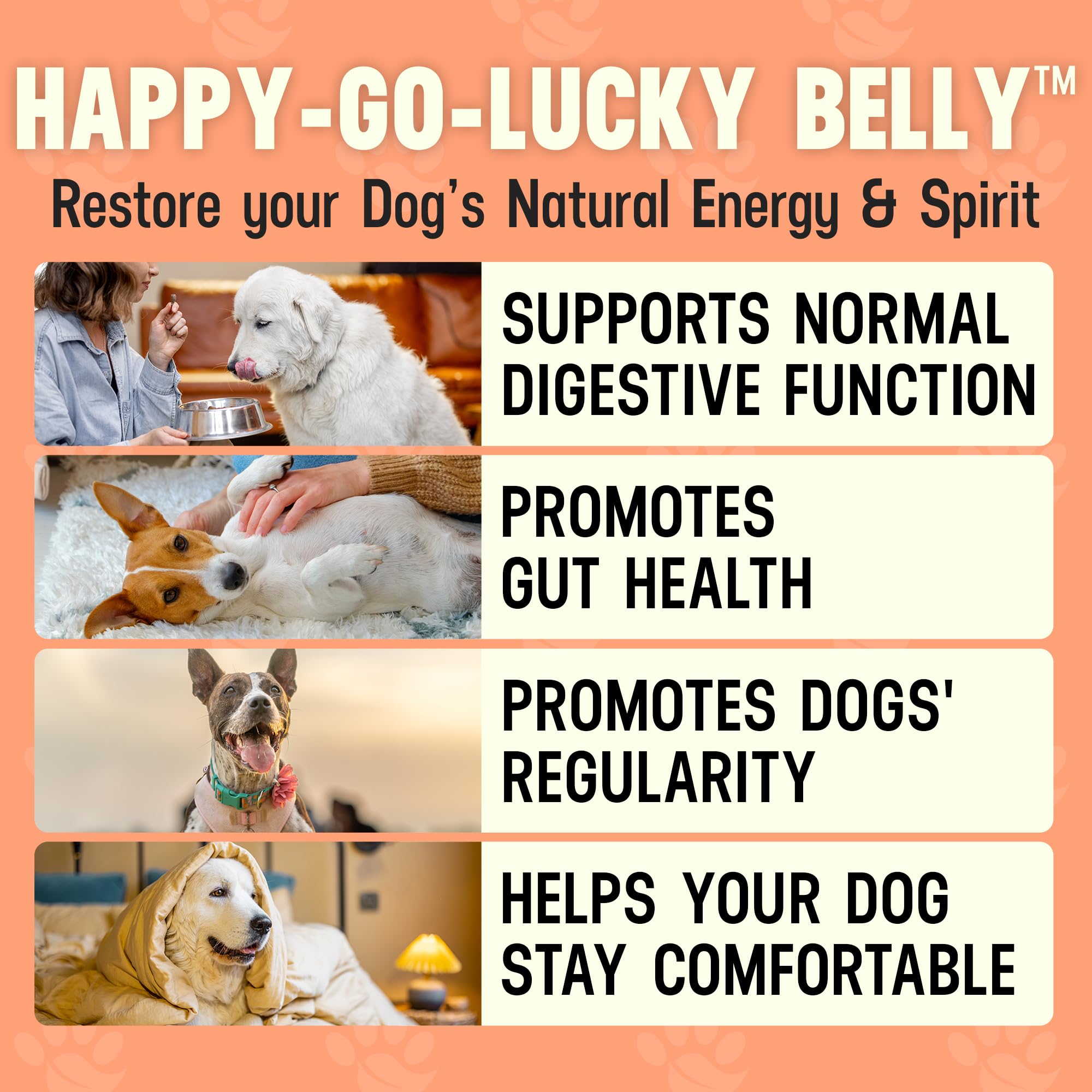 Better Dog Supplements Happy-Go-Lucky Belly by Cesar Millan - Natural Dog Digestive Support Powder – Dog Constipation Relief, Gut Balance & Regularity with Herbal Fiber for Dogs – 4oz (60-Day Supply) Better Dog Supplements By Cesar Millan uk supplements
