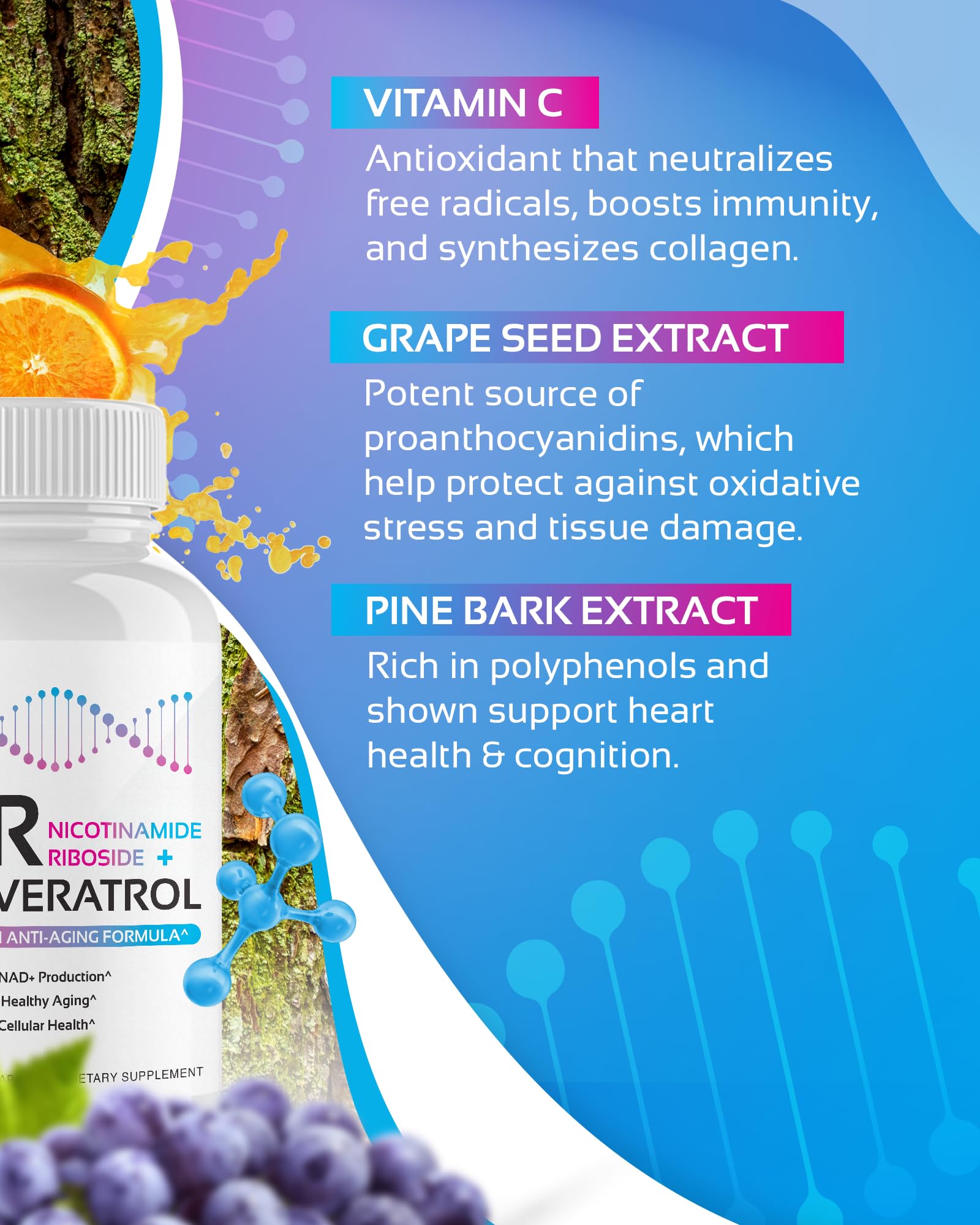 NR + Resveratrol Supplement - Increase NAD, DNA & Cellular Health, Longevity, Vitality. 5-in-1 Anti Aging Formula w/ Nicotinamide Riboside, Trans Resveratrol, Vitamin C, Grape Seed, Pine Bark CogniTune uk supplements