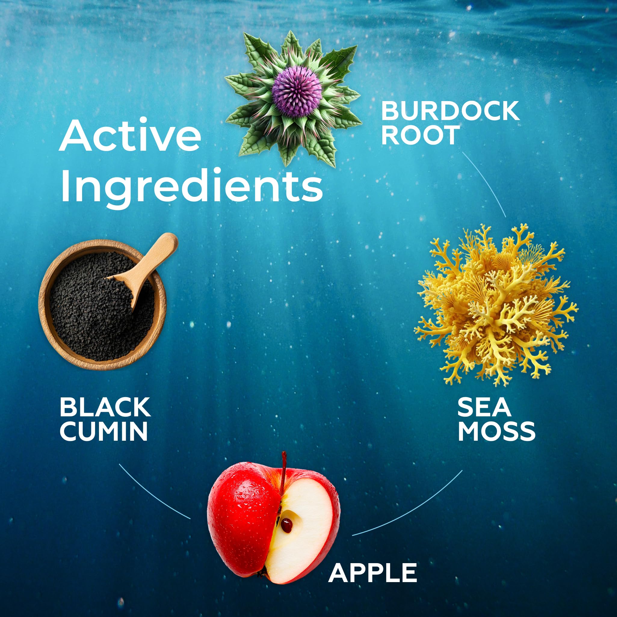 Irish Sea Moss Liquid Drops - 3000mg Formula - with Bladderwrack, Burdock Root & Black Cumin Seed - Liquid Supplement - Apple Flavor - 2 Fl Oz (60ml) TrueSeaMoss uk supplements