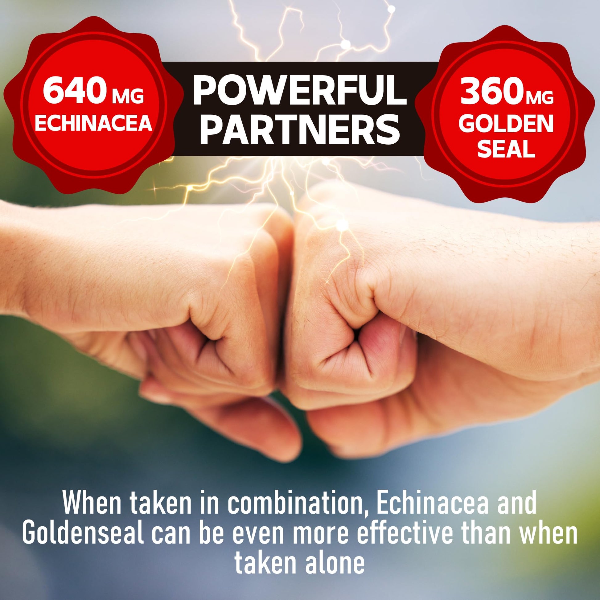 DEDICAD 1000mg Echinacea Goldenseal Capsules - Support Immune System, Well-Being & Overal Health - 60 Veggie Capsules - Non-GMO, Gluten-Free DEDICAD uk supplements