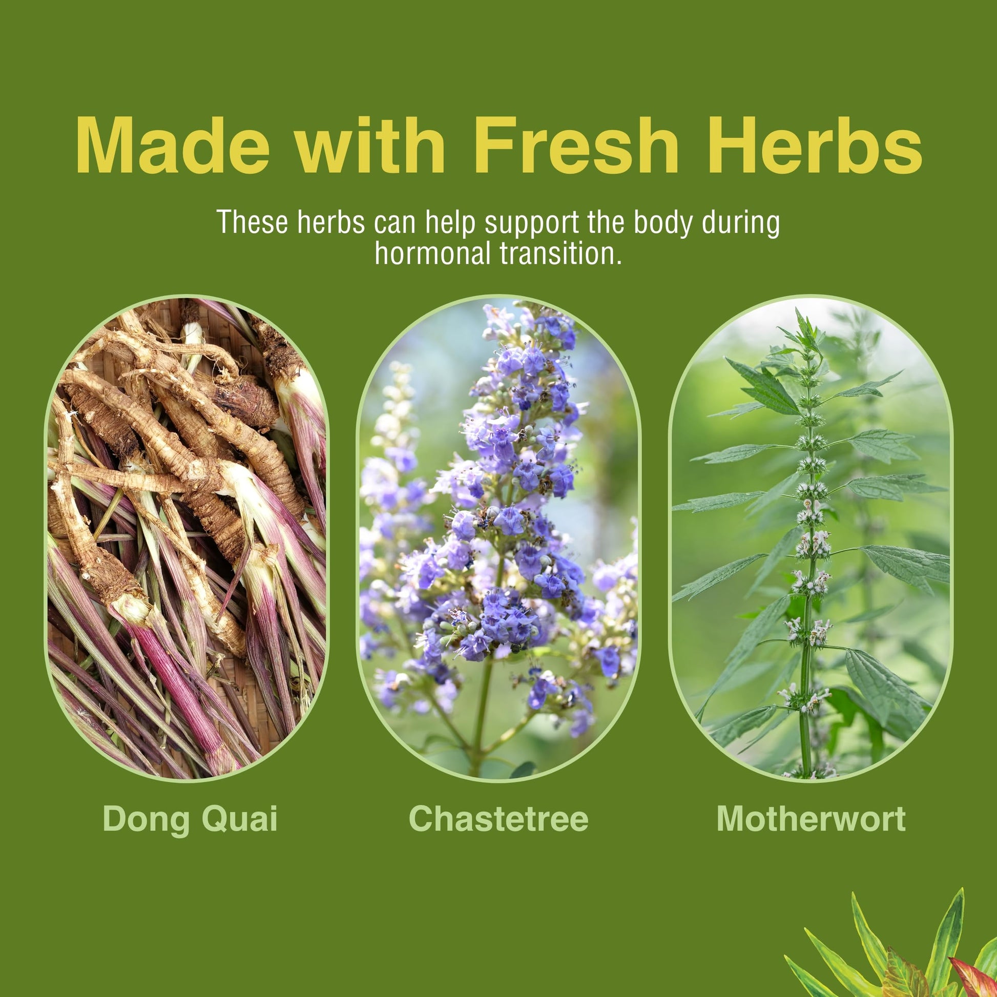 Herbs Etc. Menopautonic Softgels - Essential Supplement for Women - Hormonal Transition Support Supplement - Offers Menopausal Support with Dong Quai & Motherwort - 120 Softgels (120 Servings) Herbs Etc. uk supplements