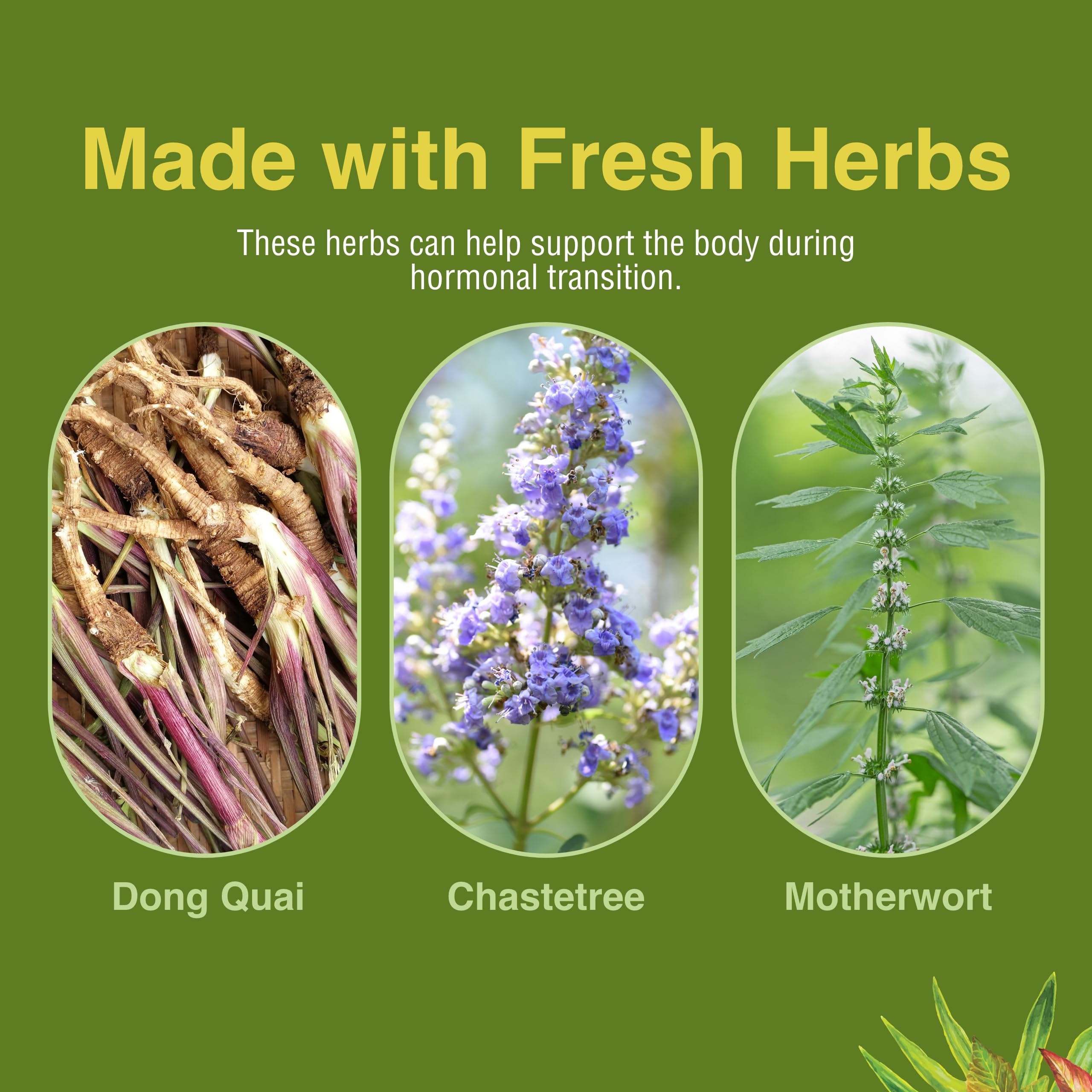 Herbs Etc. Menopautonic Softgels - Essential Supplement for Women - Hormonal Transition Support Supplement - Offers Menopausal Support with Dong Quai & Motherwort - 120 Softgels (120 Servings) Herbs Etc. uk supplements