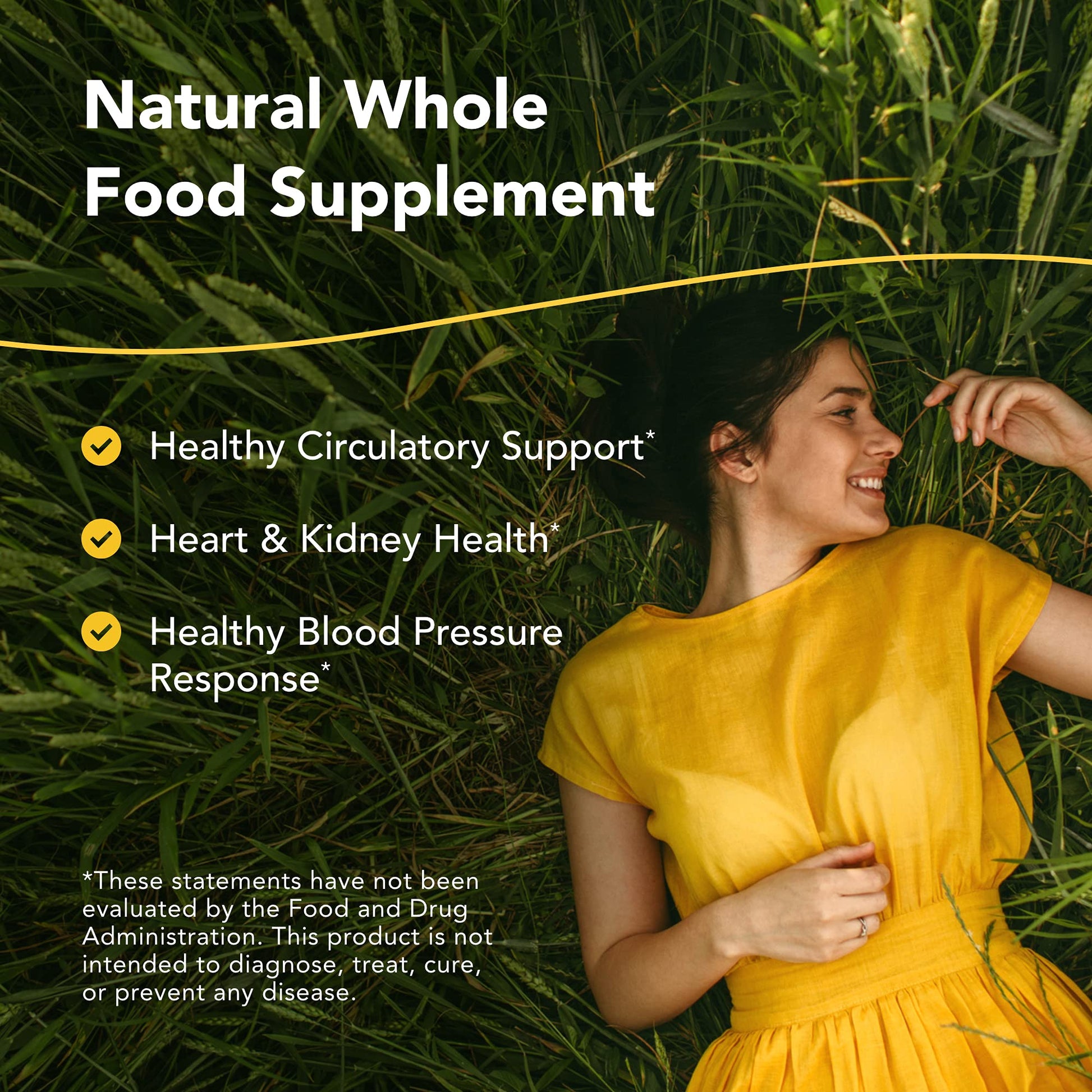 NORTH AMERICAN HERB & SPICE Hyper-eeZ - 90 Vegi Caps - Herbs, Spices, Flowers, Berry Blend - Blood Pressure & Circulation Support - Assists with Heart, Circulation, Kidneys - Non-GMO - 90 Servings NORTH AMERICAN HERB & SPICE uk supplements