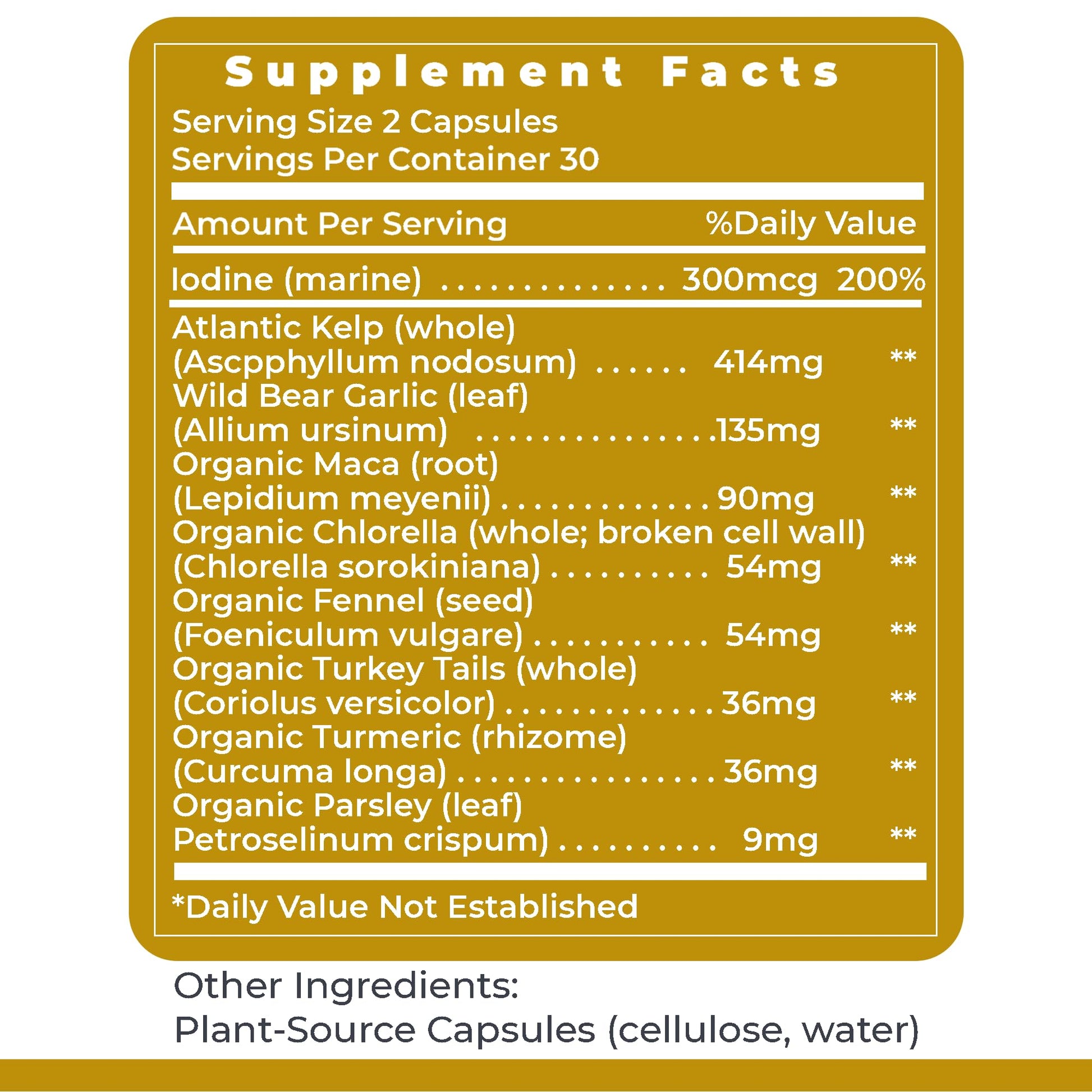 Premier Research Labs ThyroVen - Thyroid Support for Women, Thyroid Support for Men, Thyroid Supplement, Thyroid Support Complex with Naturally-Sourced Iodine - 60 Capsules Premier Research Labs uk supplements