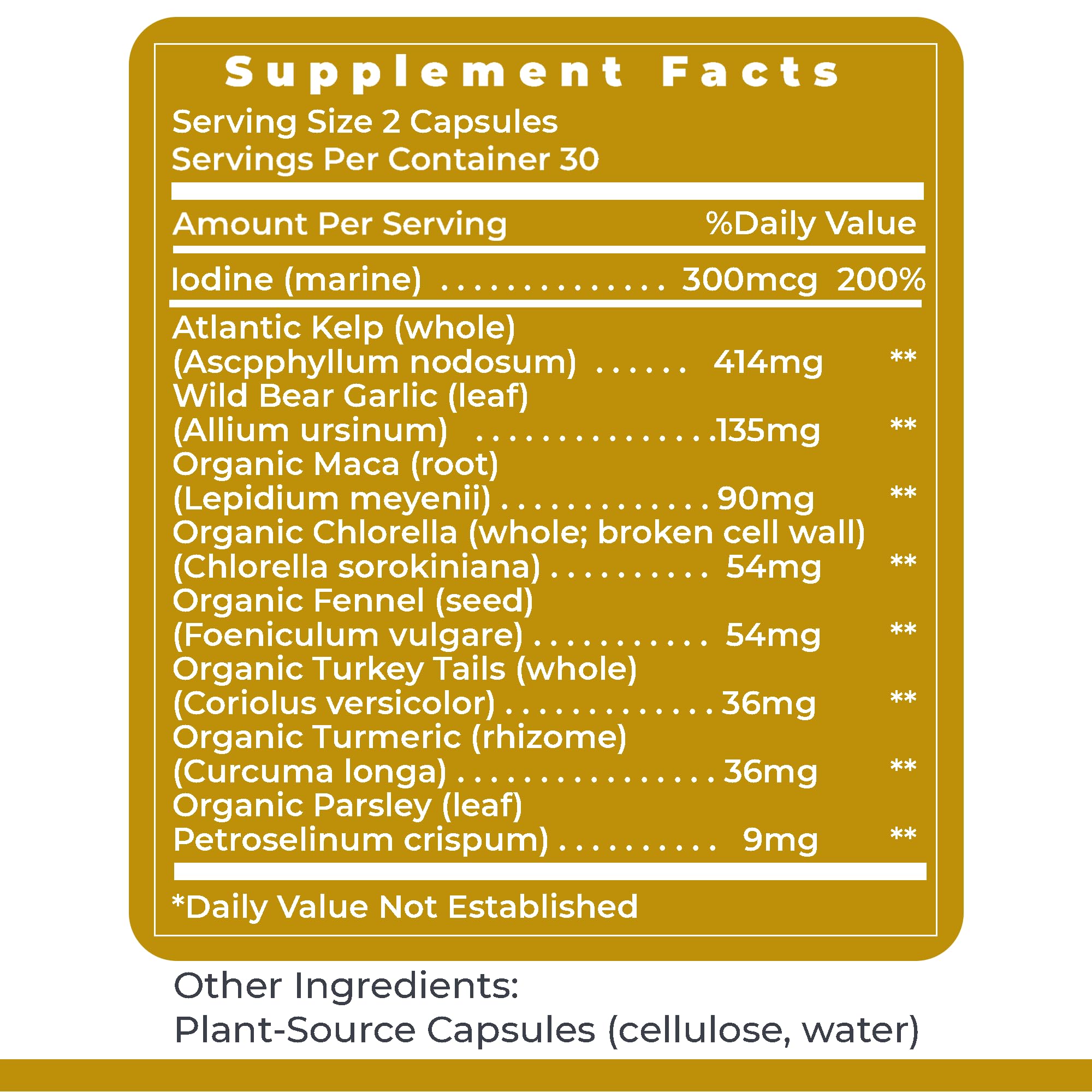 Premier Research Labs ThyroVen - Thyroid Support for Women, Thyroid Support for Men, Thyroid Supplement, Thyroid Support Complex with Naturally-Sourced Iodine - 60 Capsules Premier Research Labs uk supplements