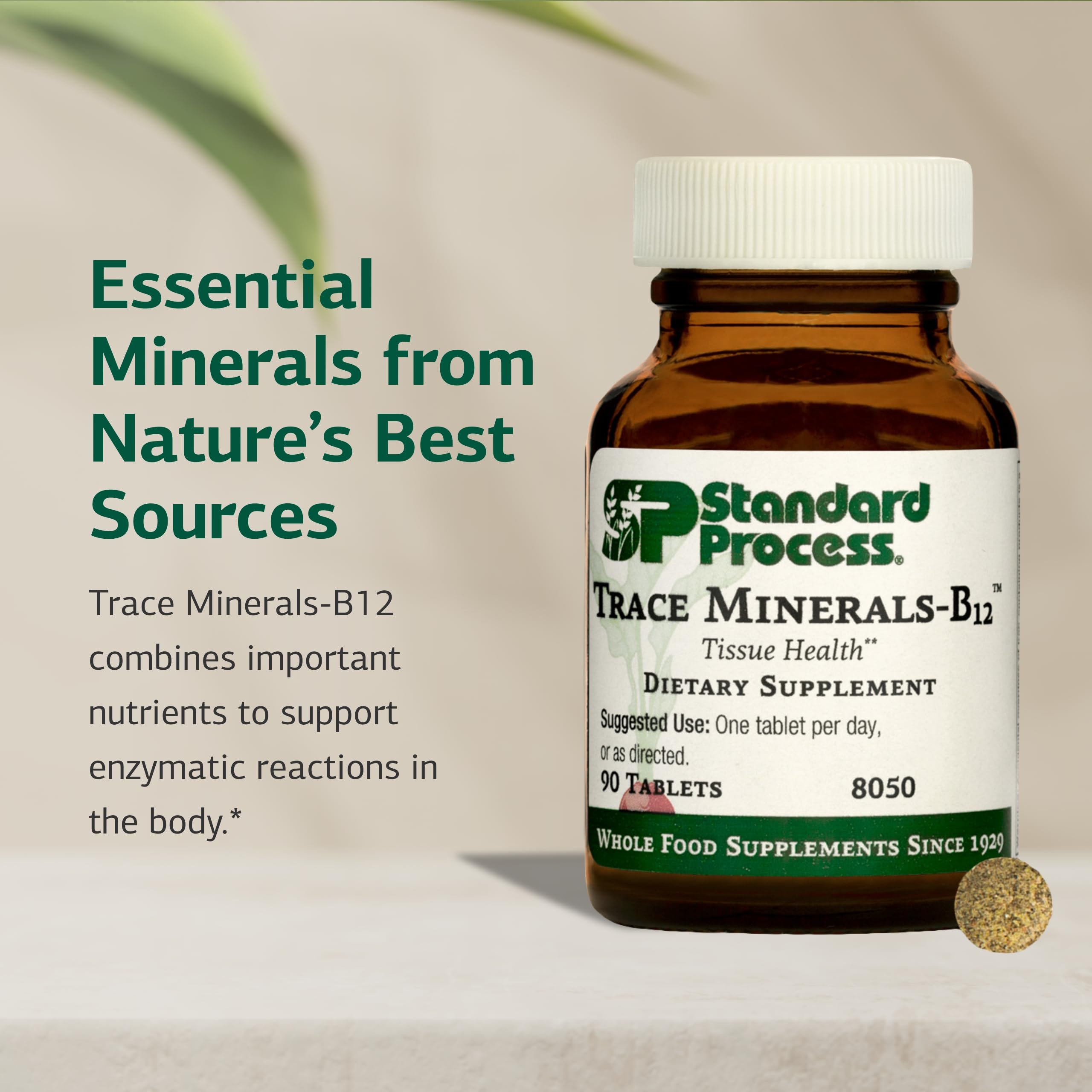 Standard Process Trace Minerals-B12 - Thyroid & Cell Functioning Support with Iodine, Zinc & Copper - Cartilage & Bone Health Aid - Non-Dairy & Non-Soy - 90 Tablets (90 Servings) Standard Process Inc. uk supplements