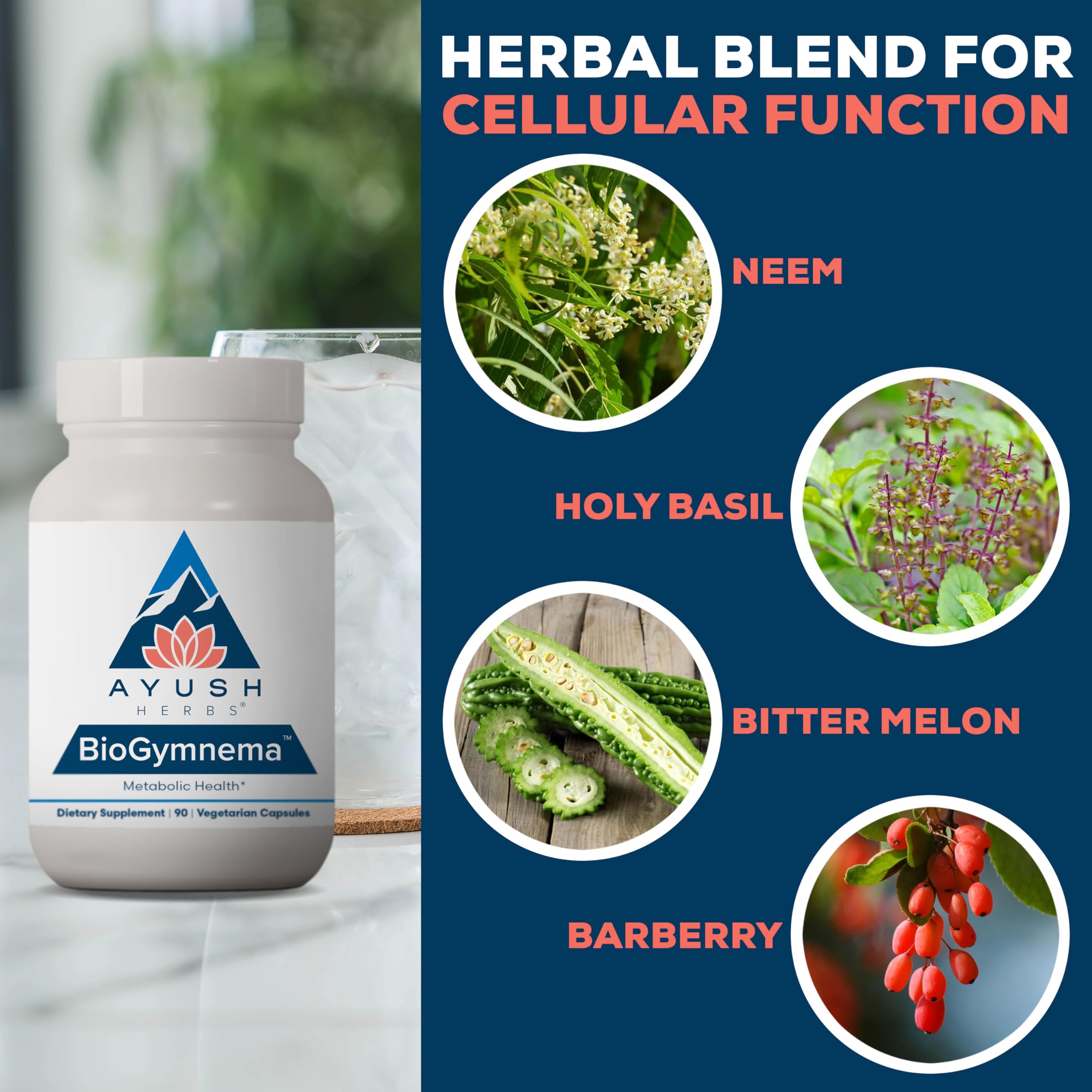 Ayush Herbs BioGymnema - Metabolic Vitamin & Herb Blend, Metabolic Health Supplement for Women & Men with Biotin, Berberine, Bitter Melon & Gymnema, Nutrient Support - 90 Servings Ayush Herbs uk supplements