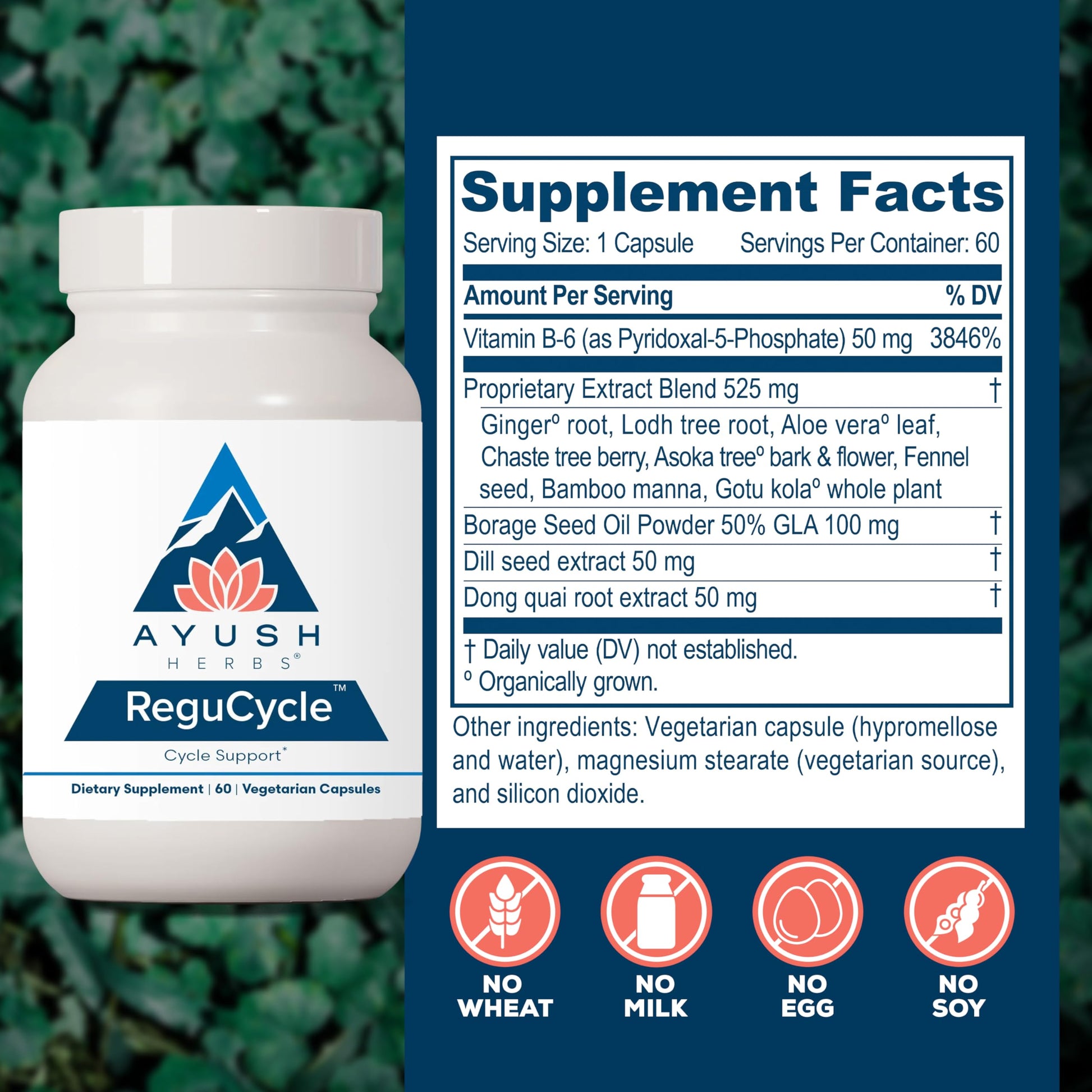 Ayush Herbs Regu-Cycle - Hormone Balance for Women, Hormonal Support, Period Support & Relief, Reproductive Health, Regulate Menstrual Cycle, Ovarian Support Supplement - 60 Vegetarian Capsules Ayush Herbs uk supplements