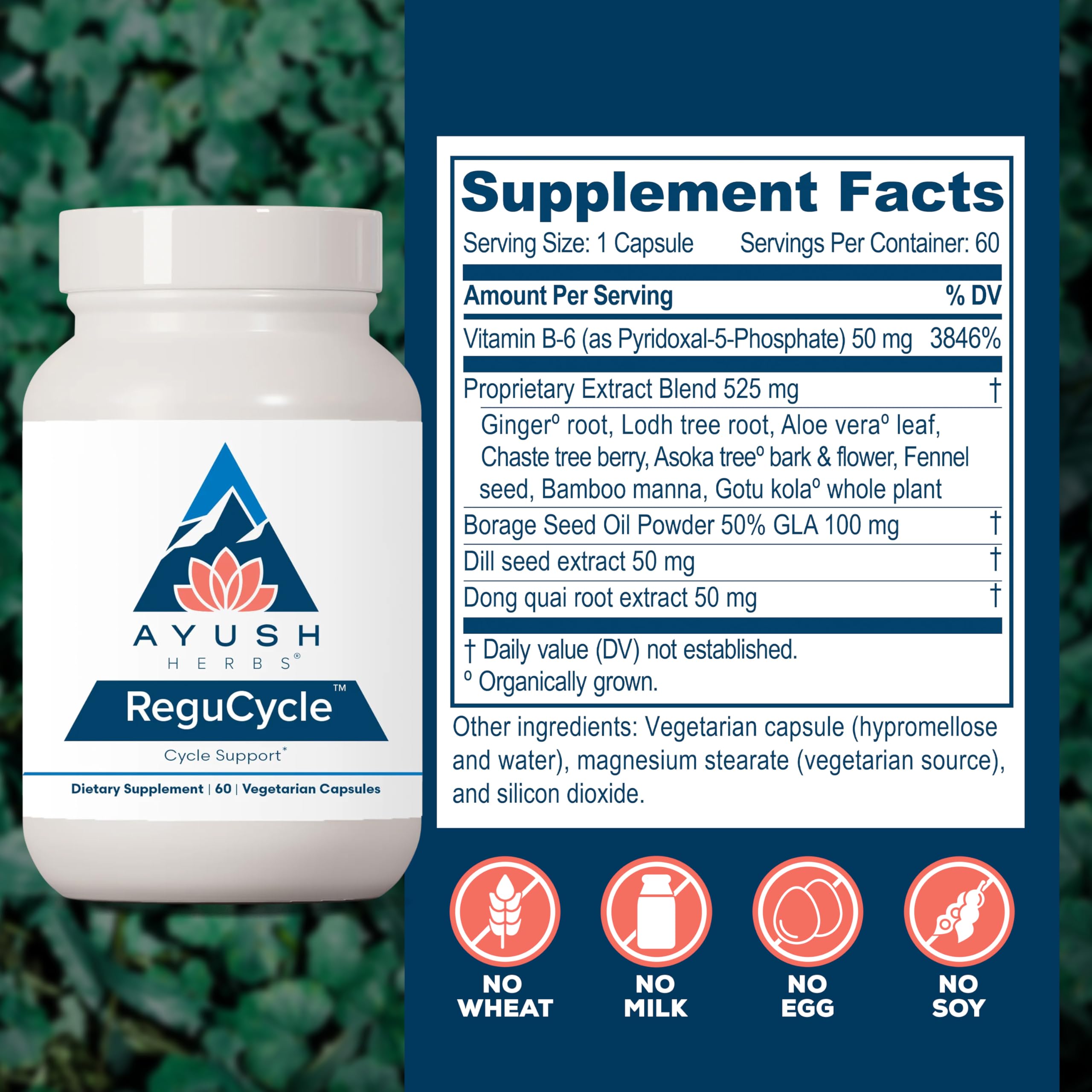 Ayush Herbs Regu-Cycle - Hormone Balance for Women, Hormonal Support, Period Support & Relief, Reproductive Health, Regulate Menstrual Cycle, Ovarian Support Supplement - 60 Vegetarian Capsules Ayush Herbs uk supplements