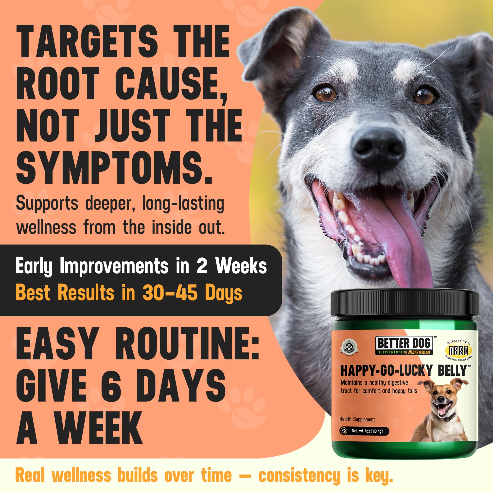 Better Dog Supplements Happy-Go-Lucky Belly by Cesar Millan - Natural Dog Digestive Support Powder – Dog Constipation Relief, Gut Balance & Regularity with Herbal Fiber for Dogs – 4oz (60-Day Supply) Better Dog Supplements By Cesar Millan uk supplements