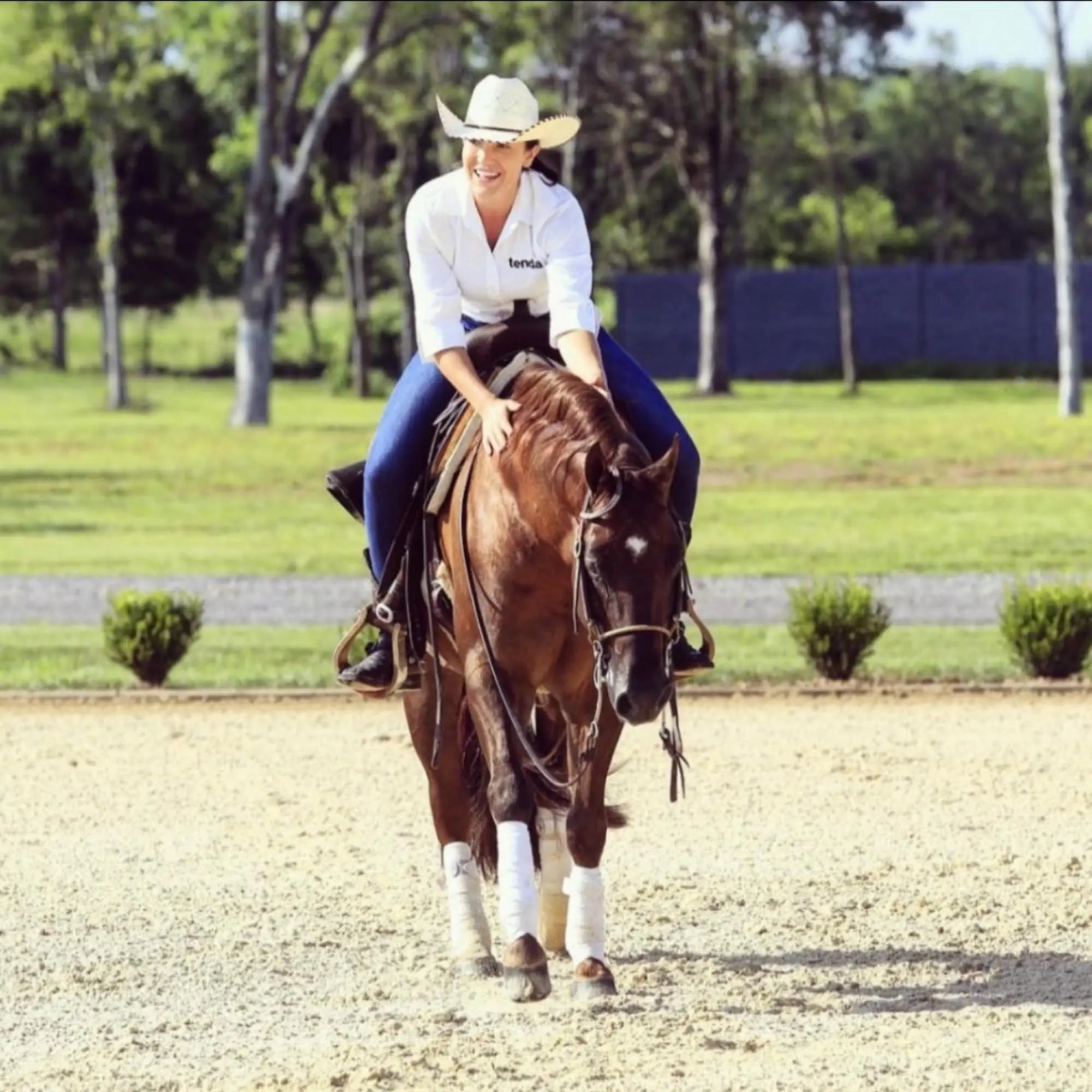 Tenda Liniment Gel - Designed to Provide Temporary Soothing, Relief for Sore and Stiff Muscles Tenda Horse Products uk supplements