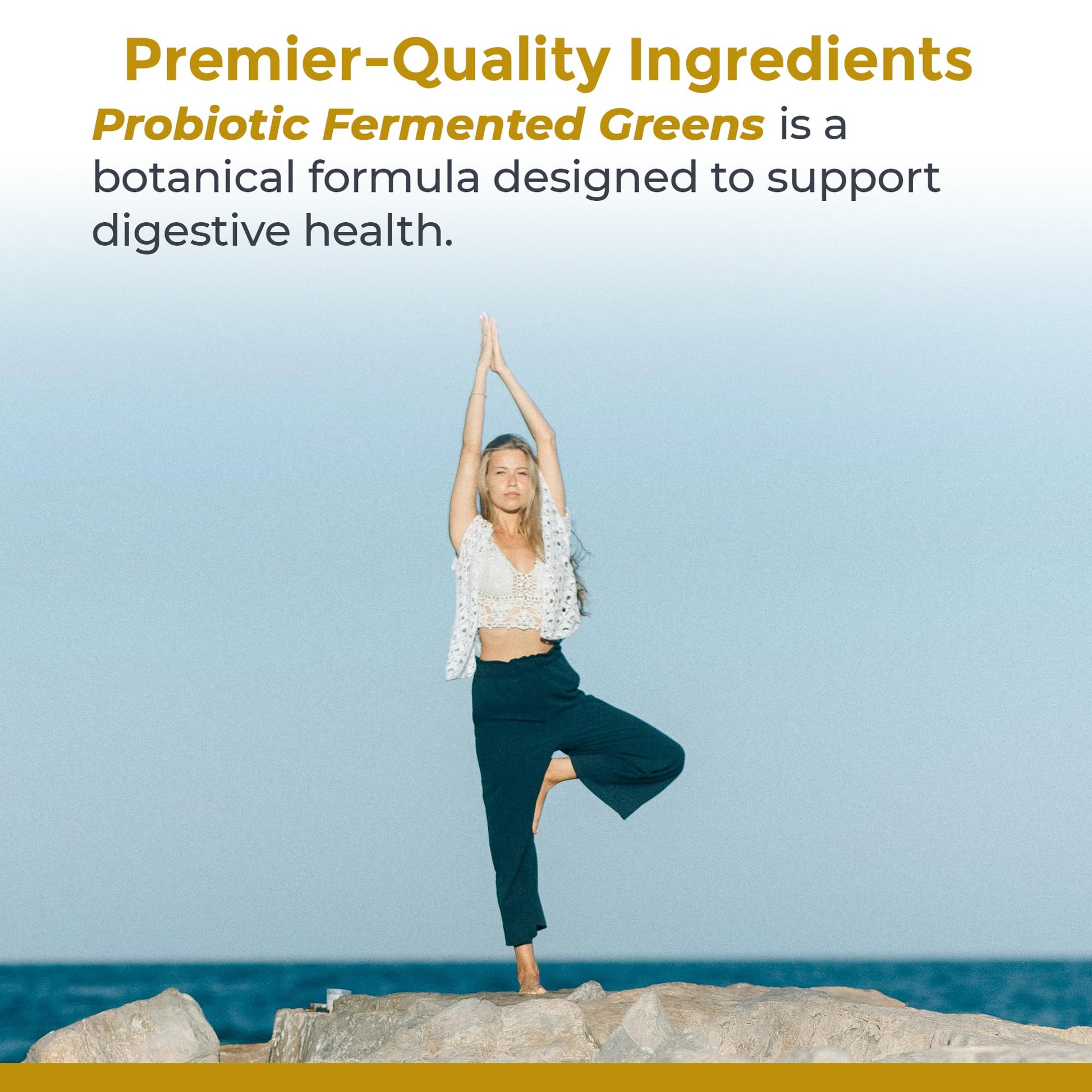 Premier Research Labs Probiotic Fermented Greens - Super Greens Supplement, Superfood Blend, Organic Vitamins with Probiotic - Daily Greens with Spinach, Chlorella, & More - 150 Powder Filled Capsules Premier Research Labs uk supplements