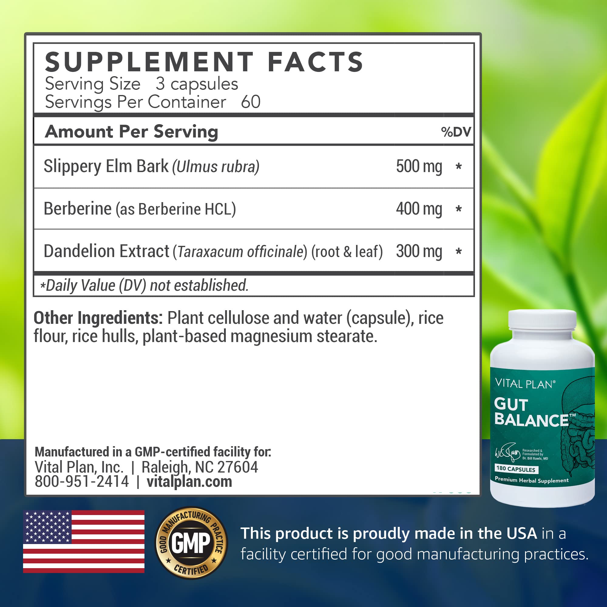 Vital Plan Gut Balance Supplement by Dr. Bill Rawls - Advanced Digestive Health Support Formula w/Clinical-Grade Slippery Elm Bark, Berberine & Dandelion Extract for Women & Men (180 Capsules) Vital Plan uk supplements