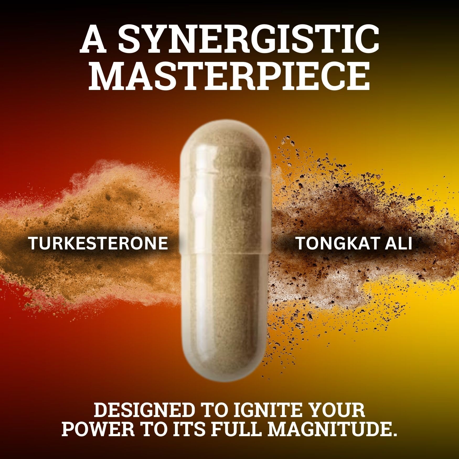 Black Forest Turkesterone Tongkat Ali Supplement 1000mg per Serving (Max Purity 95%) Turkesterone Supplement for Men (Tongkat Ali for Men Longjack 200:1) Similar to Tongkat Ali Fadogia Agrestis Black Forest uk supplements