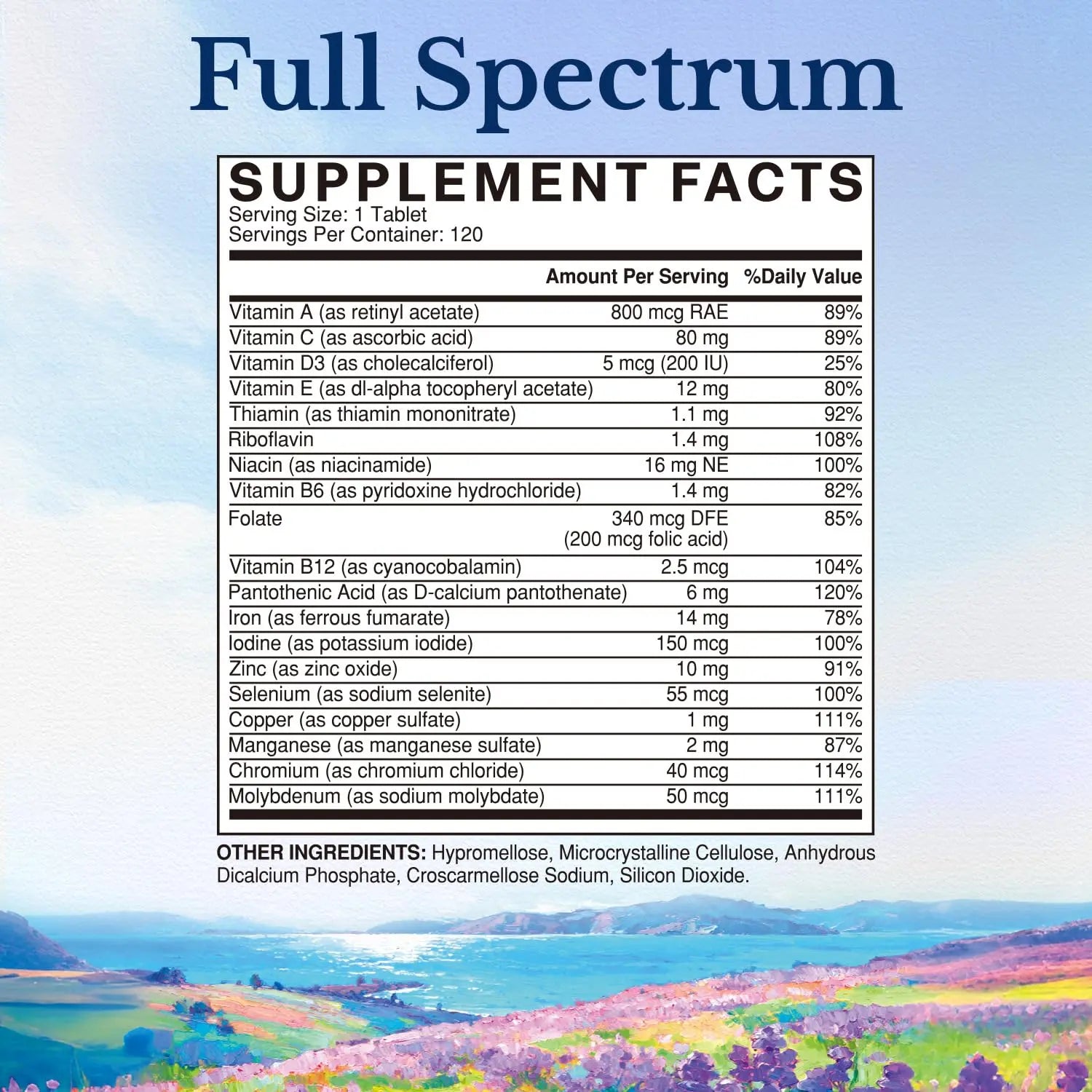 Vitalitown Multivitamin for Women & Men, with Iron, Zinc, Vitamin D3, A, C, B, E, 19 Key Nutrients, One Per Day Vitalitown uk supplements