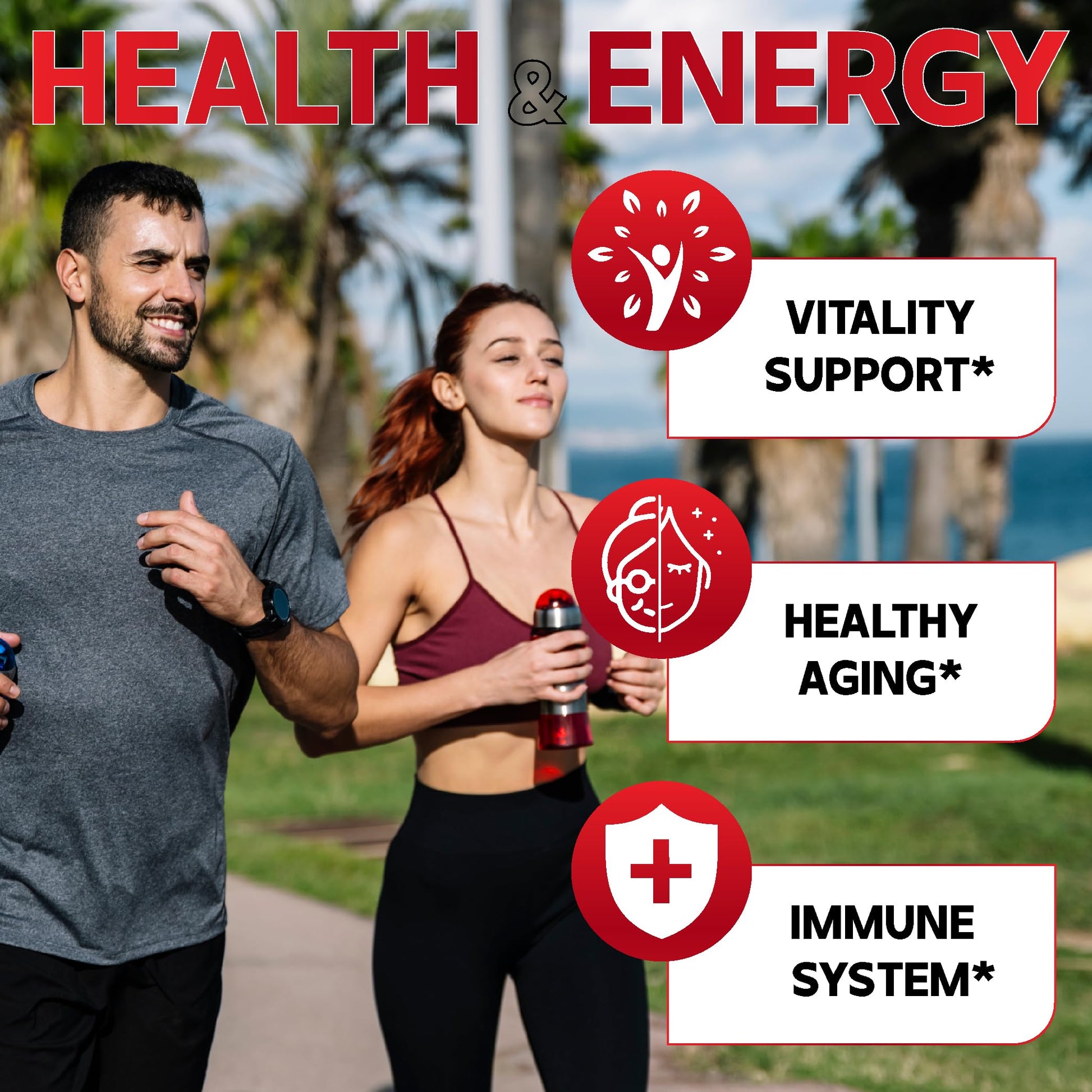 DEDICAD NAD Supplement with Nicotinamide Riboside, Trans-Resveratrol, Quercetin - Cellular Energy & Repair, Vitality, Healthy Aging - 60 Count DEDICAD uk supplements