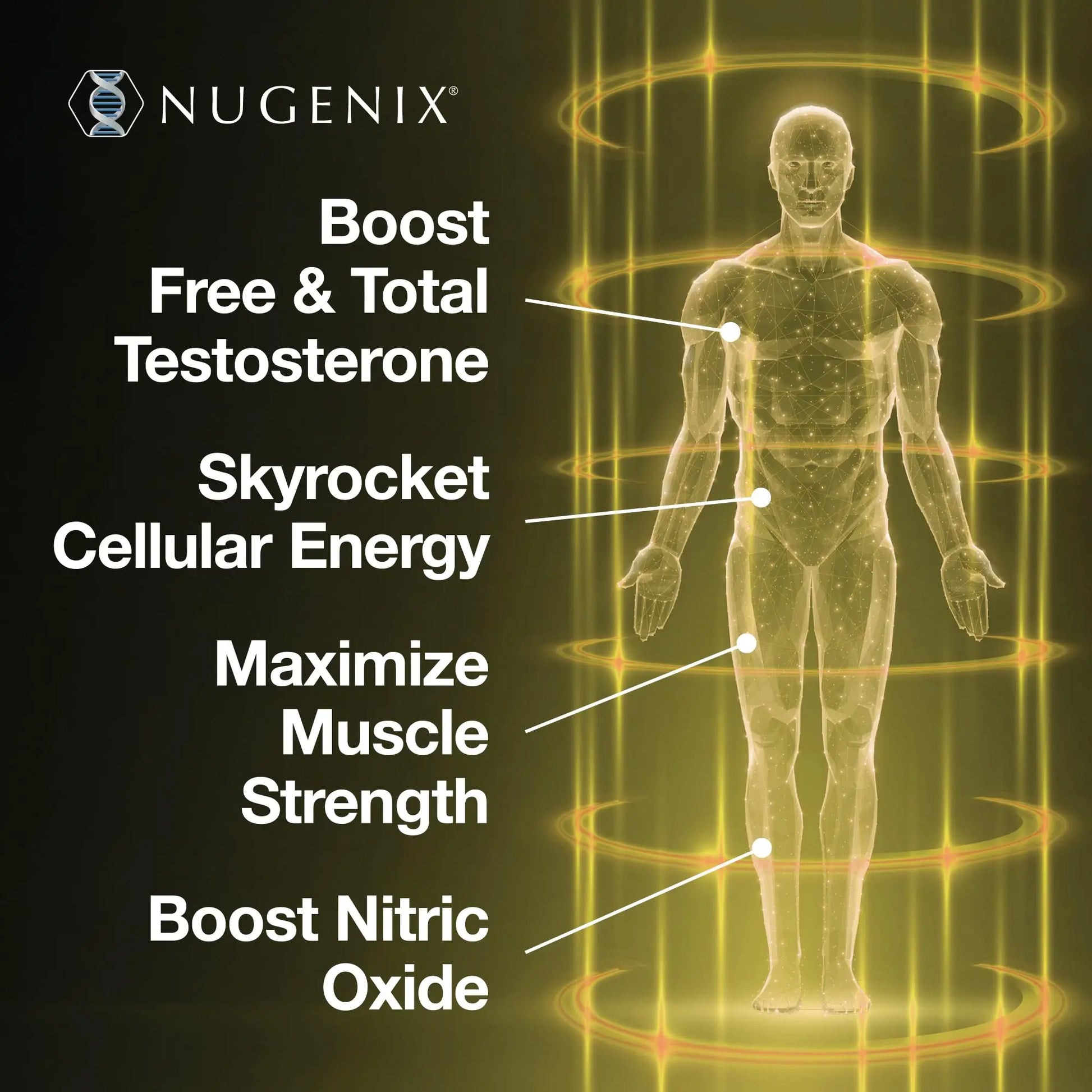 Nugenix Total-T2 - Nitric Oxide Booster for Men, Tesnor, S7, ElevATP, Tongkat, Citrulline, Nitric Oxide and Testosterone Supplement for Men (90 Count) Nugenix uk supplements
