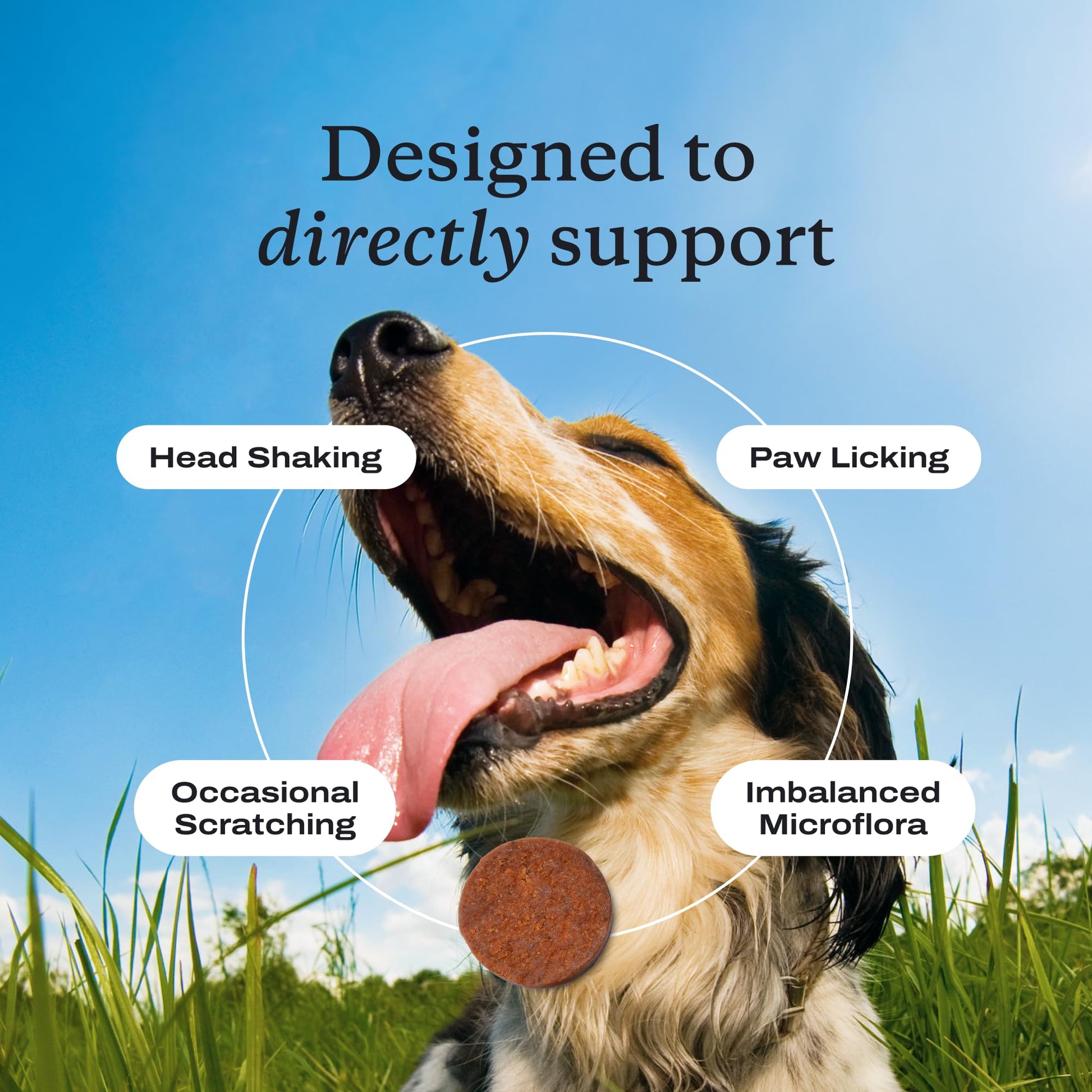 PetLab Co. Allergy & Immune Probiotics for Dogs, Support Seasonal Allergies, Gut & Digestive Health - Pork Flavor - 30 Soft Chews - Packaging May Vary PetLab Co. uk supplements