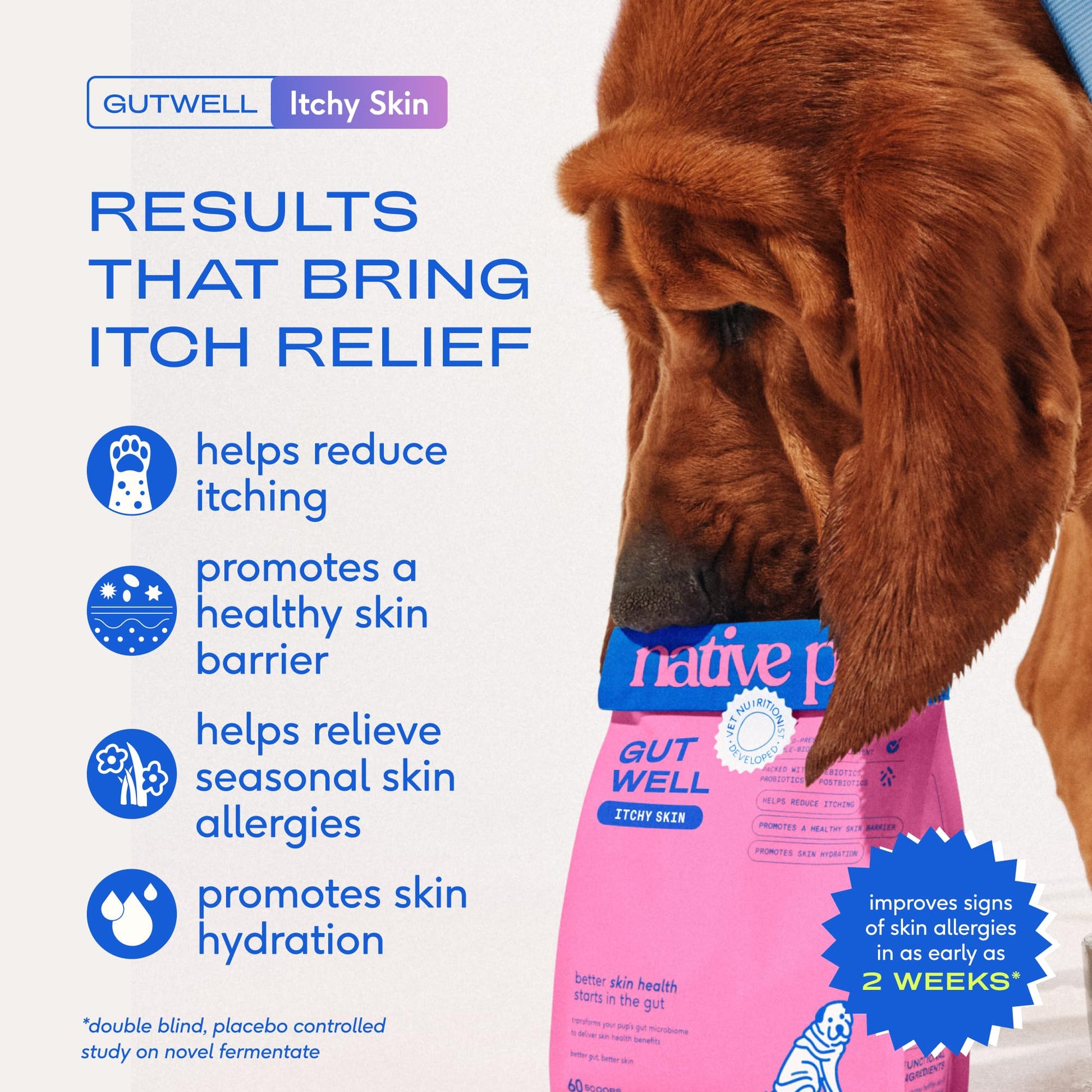 GutWell Itchy Skin - Dog Itching Skin Relief & Seasonal Allergy Itch Relief for Dogs - Promotes Skin Hydration, Elasticity & Healthy Barrier with Triple-biotic Blend, Zinc, & Vitamin E - 60 Scoops Native Pet uk supplements