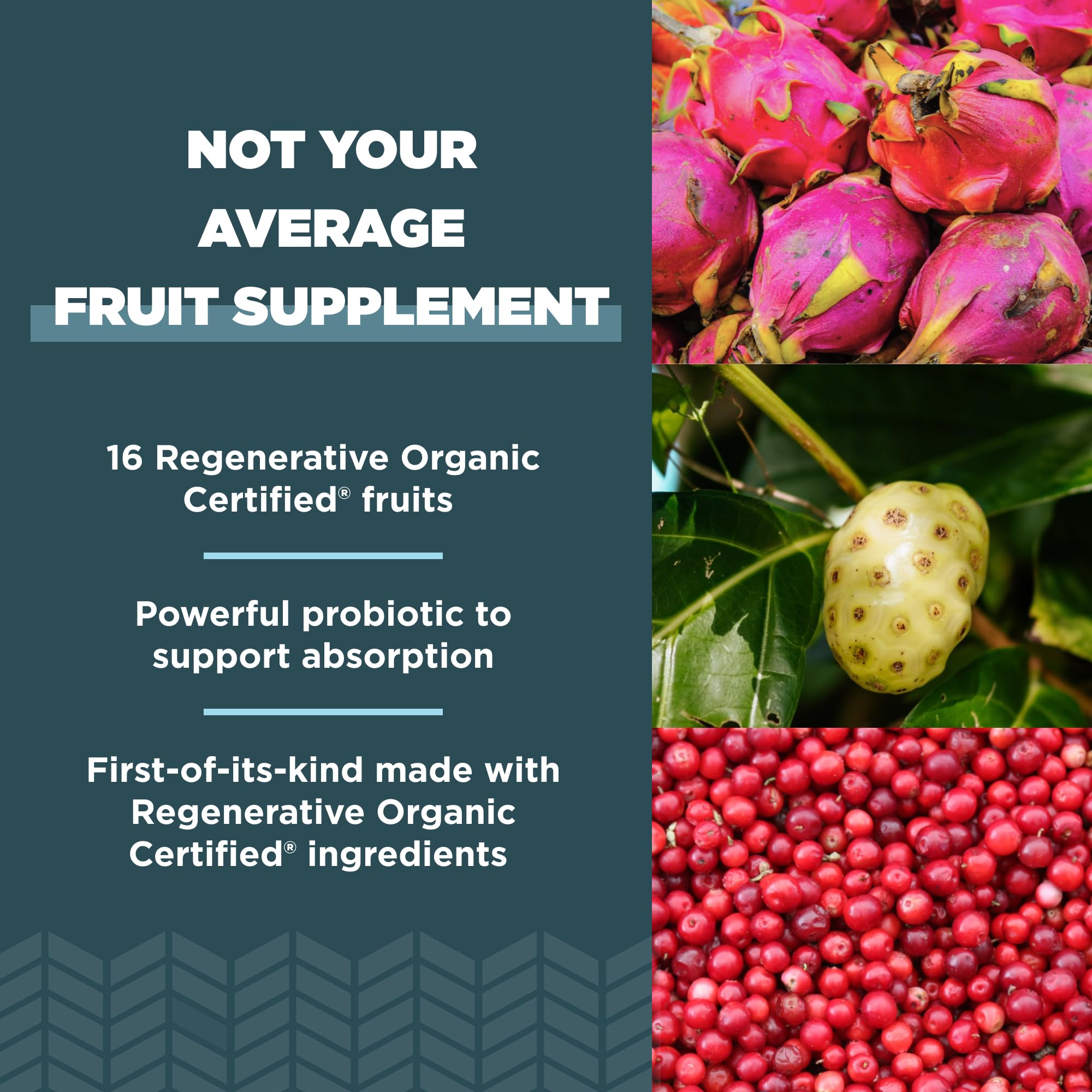 Ancient Nutrition Regenerative Organic Certified SuperFruits Capsules, Supports Gut and Immune System Health, Made with Probiotics, Dragonfruit, Mulberry, and Goji, 60 Count Ancient Nutrition uk supplements
