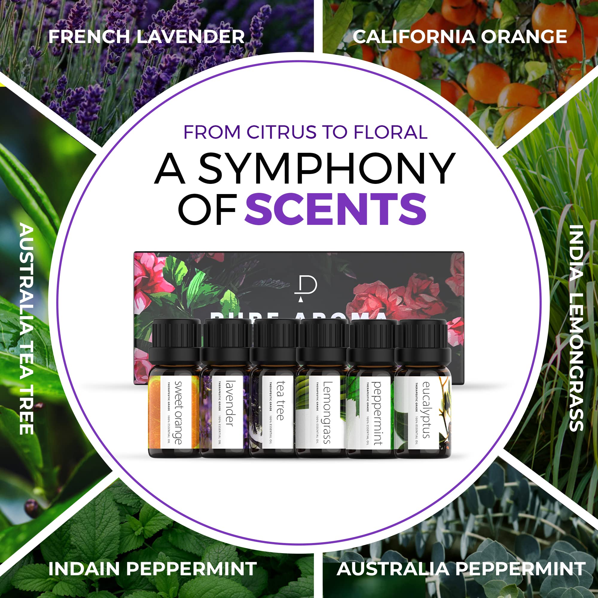 Essential Oils by PURE AROMA 100% Pure Oils kit- Top 6 Aromatherapy Oils Gift Set-6 Pack, 10ML Pure Aroma uk supplements