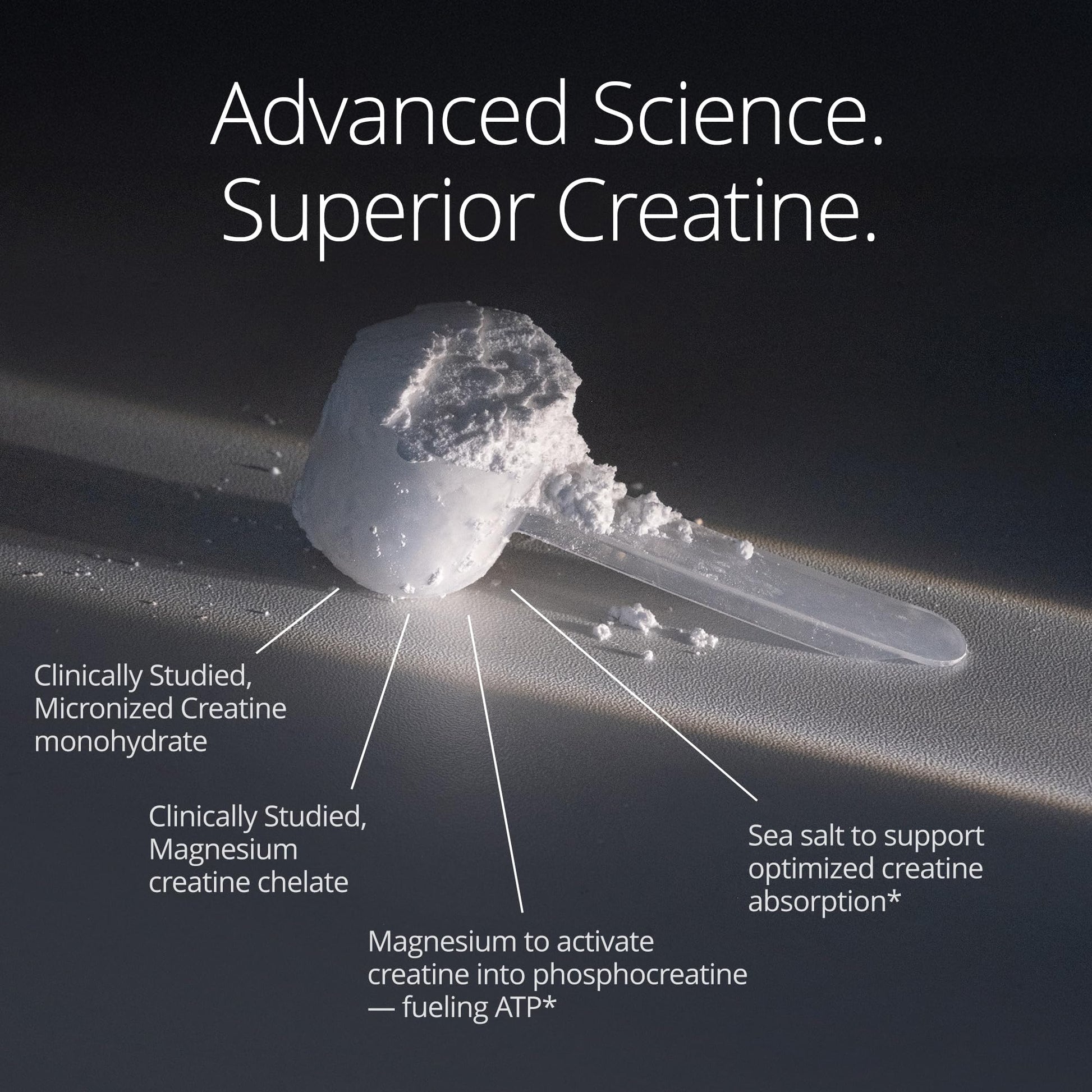 Qualia Creatine | Advanced Creatine Complex | 2 Sources + Magnesium | Optimized Absorption | Muscle Performance, Brain Function, & Healthy Aging (30 Servings) QUALIA LIFE SCIENCES uk supplements