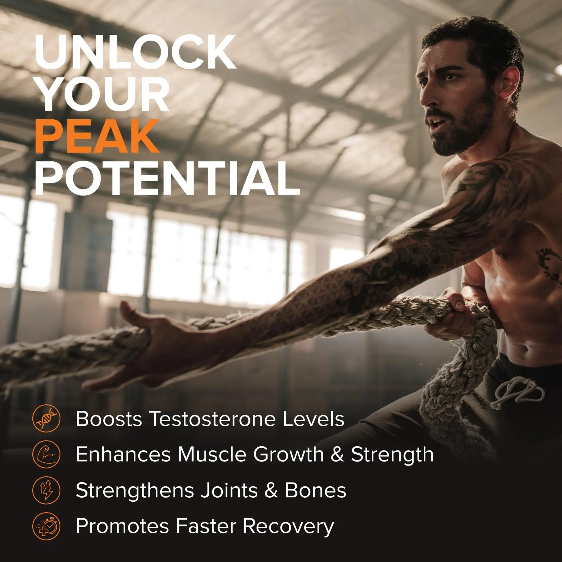 STRIVLABS Peak Potential 12-in-1  Support for Men – Fenugreek, Ashwagandha & Tongkat Ali – Natural Strength STRIVLABS uk supplements