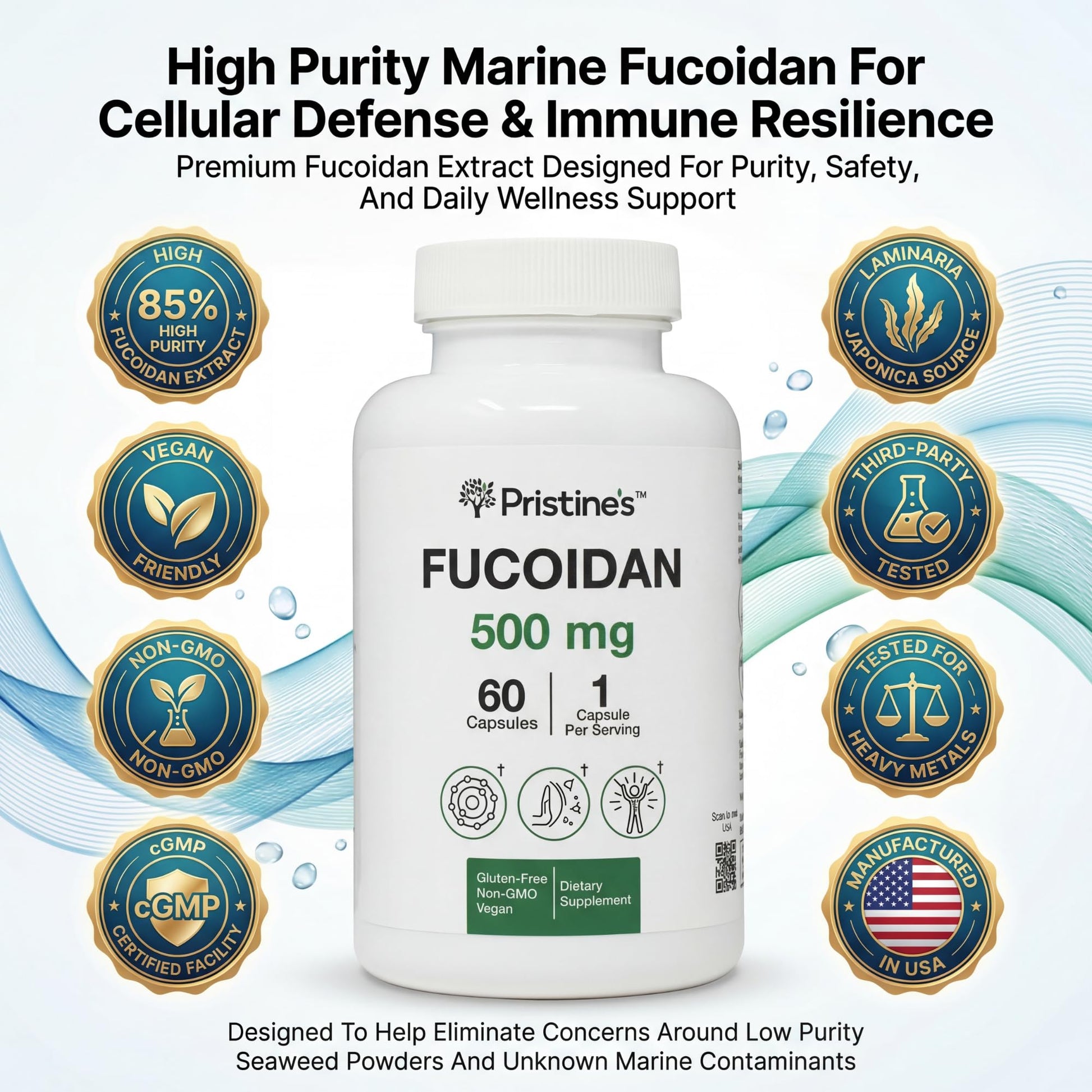 PRISTINE'S Fucoidan 500MG Immunity Supplement Capsules - 60 Day Supply - Brown Seaweed Extract - Potent Herbal Antioxidant Lung Health & Skin Health Support PRISTINE'S uk supplements