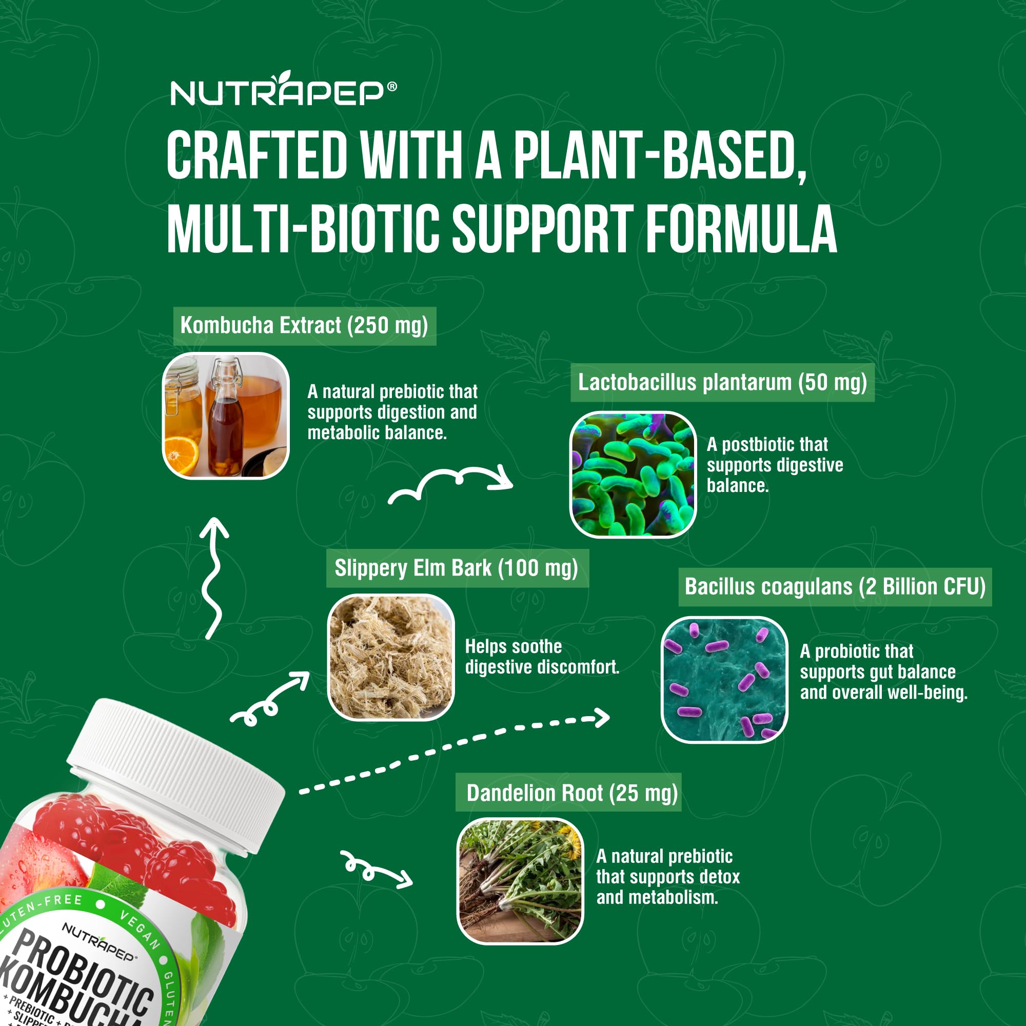 NutraPep Probiotic Kombucha Gummies - Women Men Probiotic Prebiotic Probiotic Blend for Gut Health Bloating Metabolism Support with Slippery Elm Bark Dandelion Root - Vegan Gluten Free Apple Flavor NutraPep uk supplements